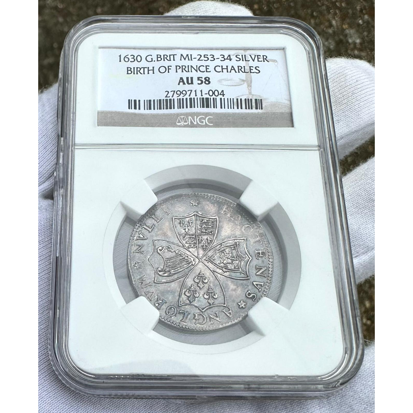 WhatsApp Image 2025-12-28 at 10.44.06 PM18.png