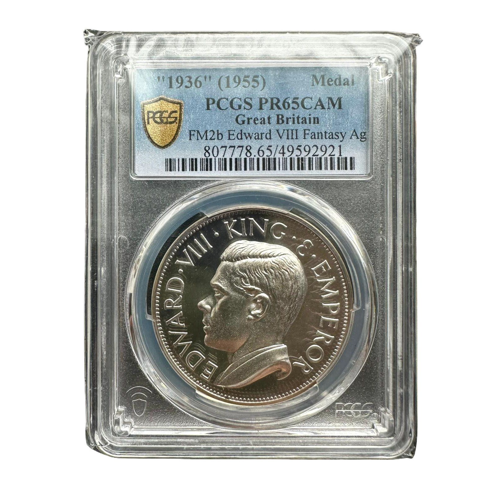 WhatsApp Image 2026-02-15 at 4.33.06 AM.png