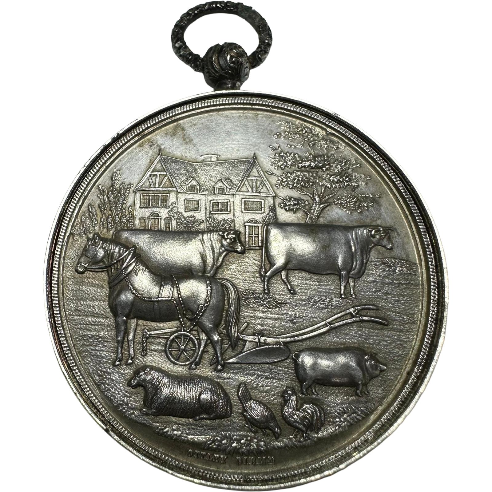 WhatsApp Image 2025-12-28 at 10.41.36 PM.png