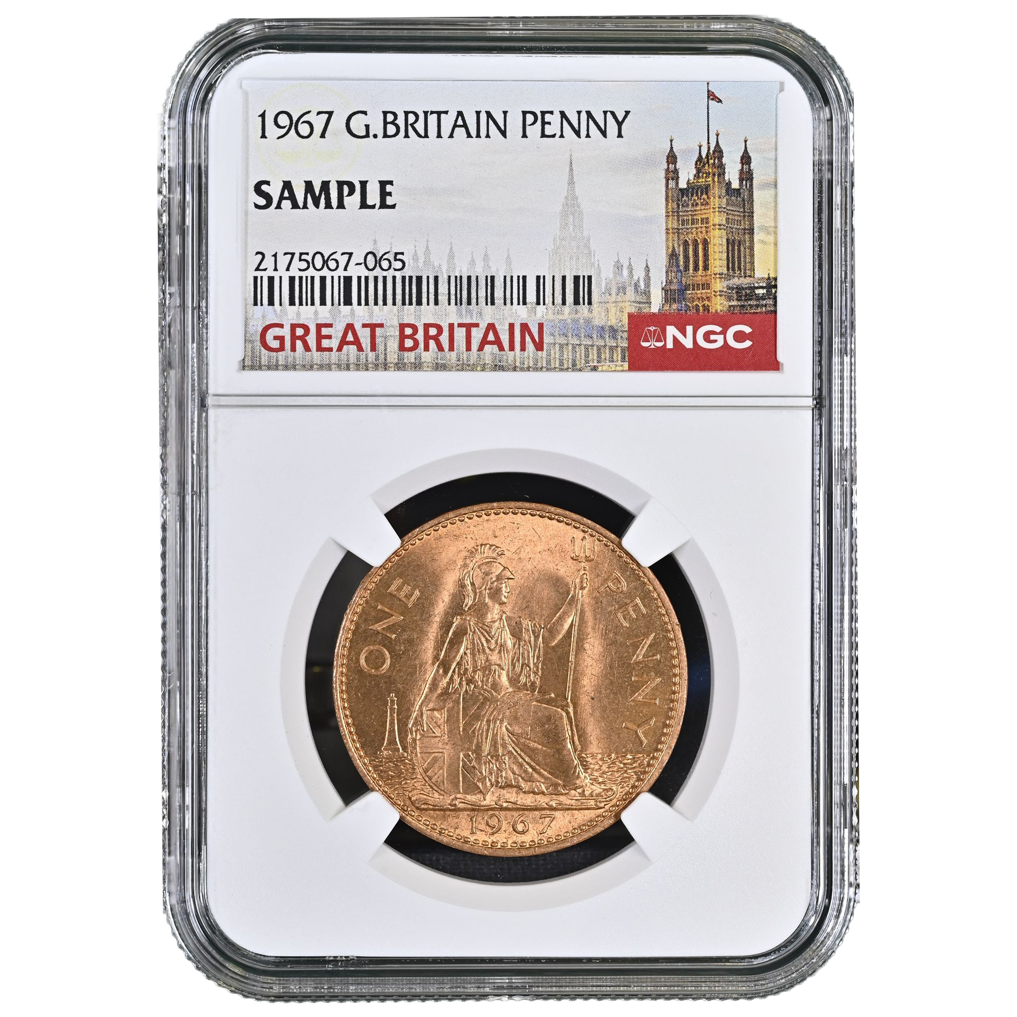 WhatsApp Image 2026-01-19 at 1.48.54 AM.png