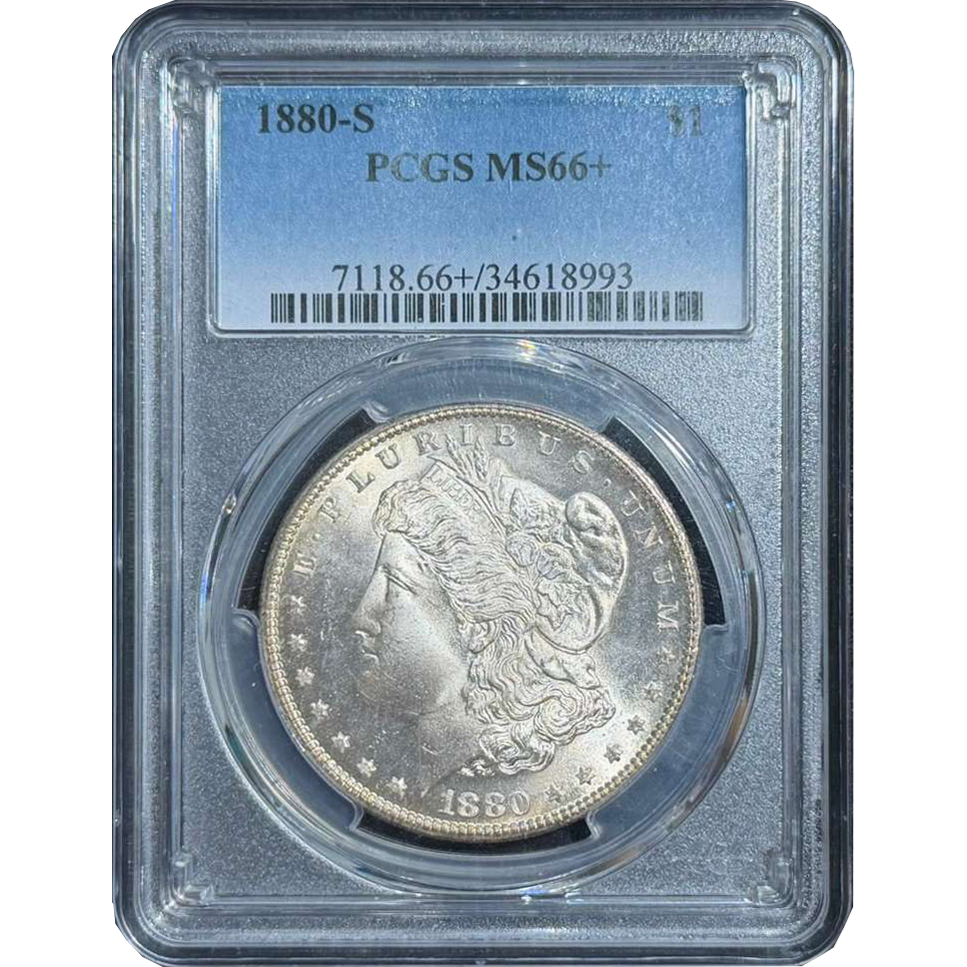 WhatsApp Image 2026-02-18 at 4.41.45 PM (1).png