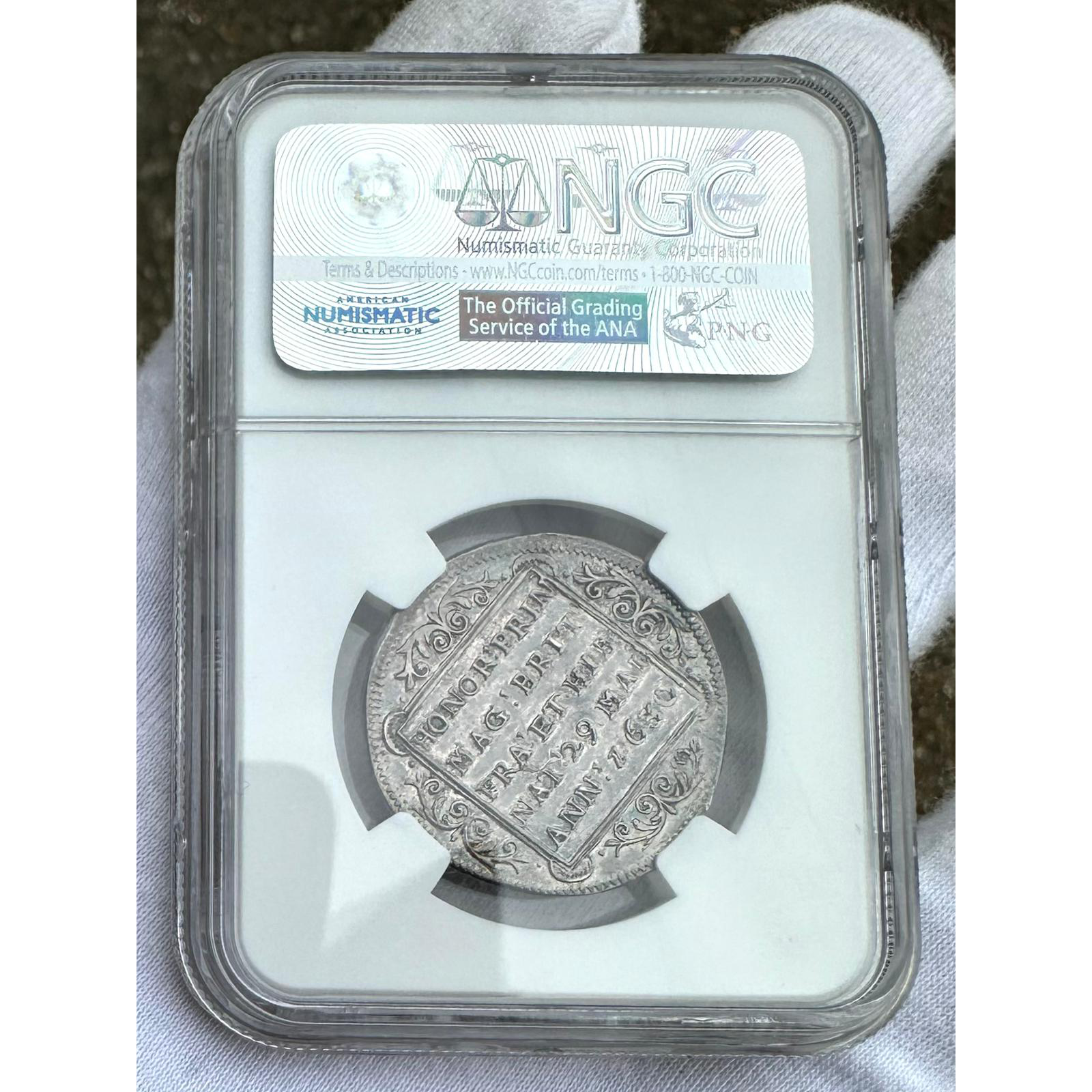 WhatsApp Image 2025-12-28 at 10.44.06 PM17.png