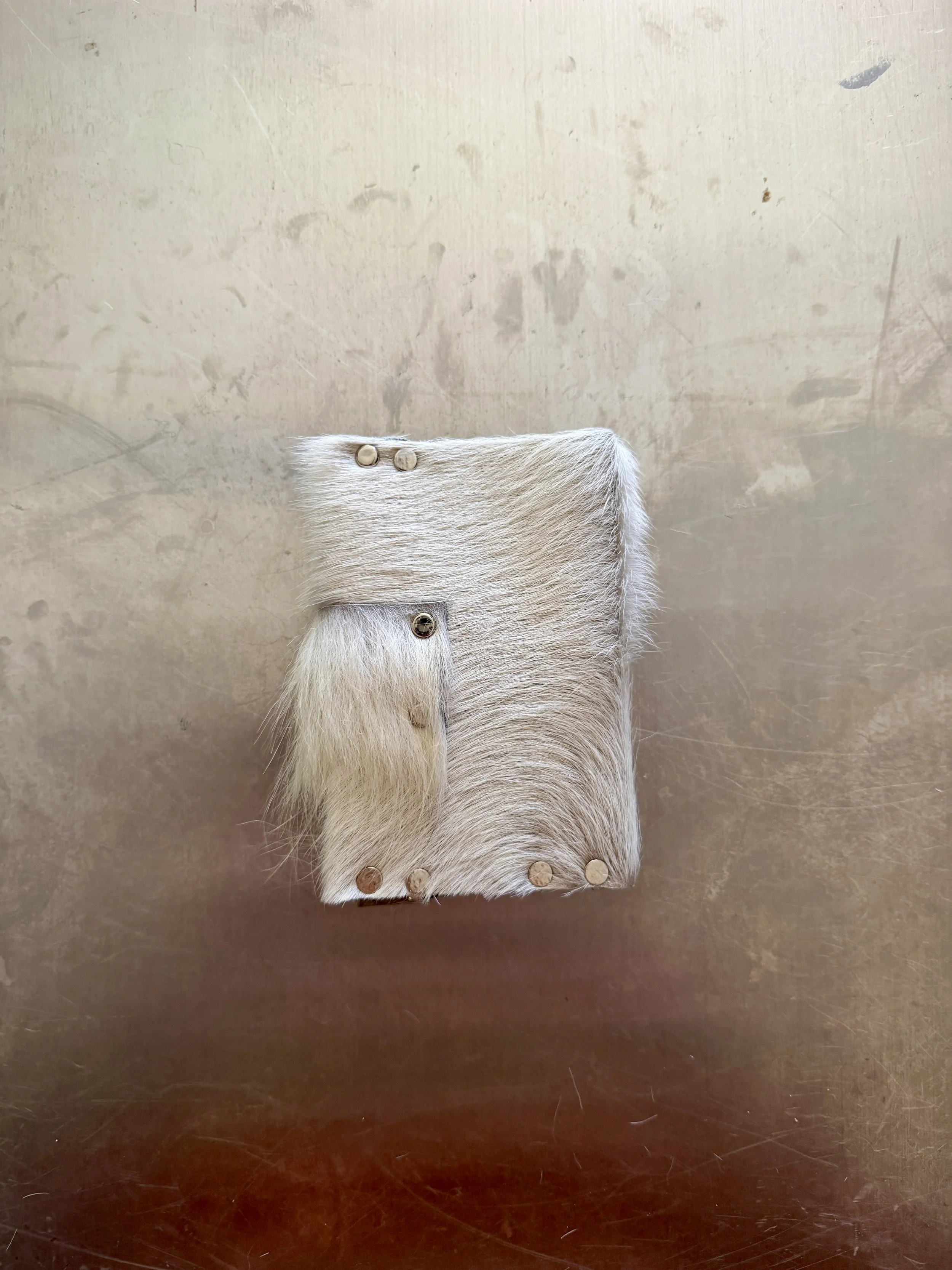 4DE1A747-BC76-4774-A0E4-A211330710CC_1_201_a.jpeg