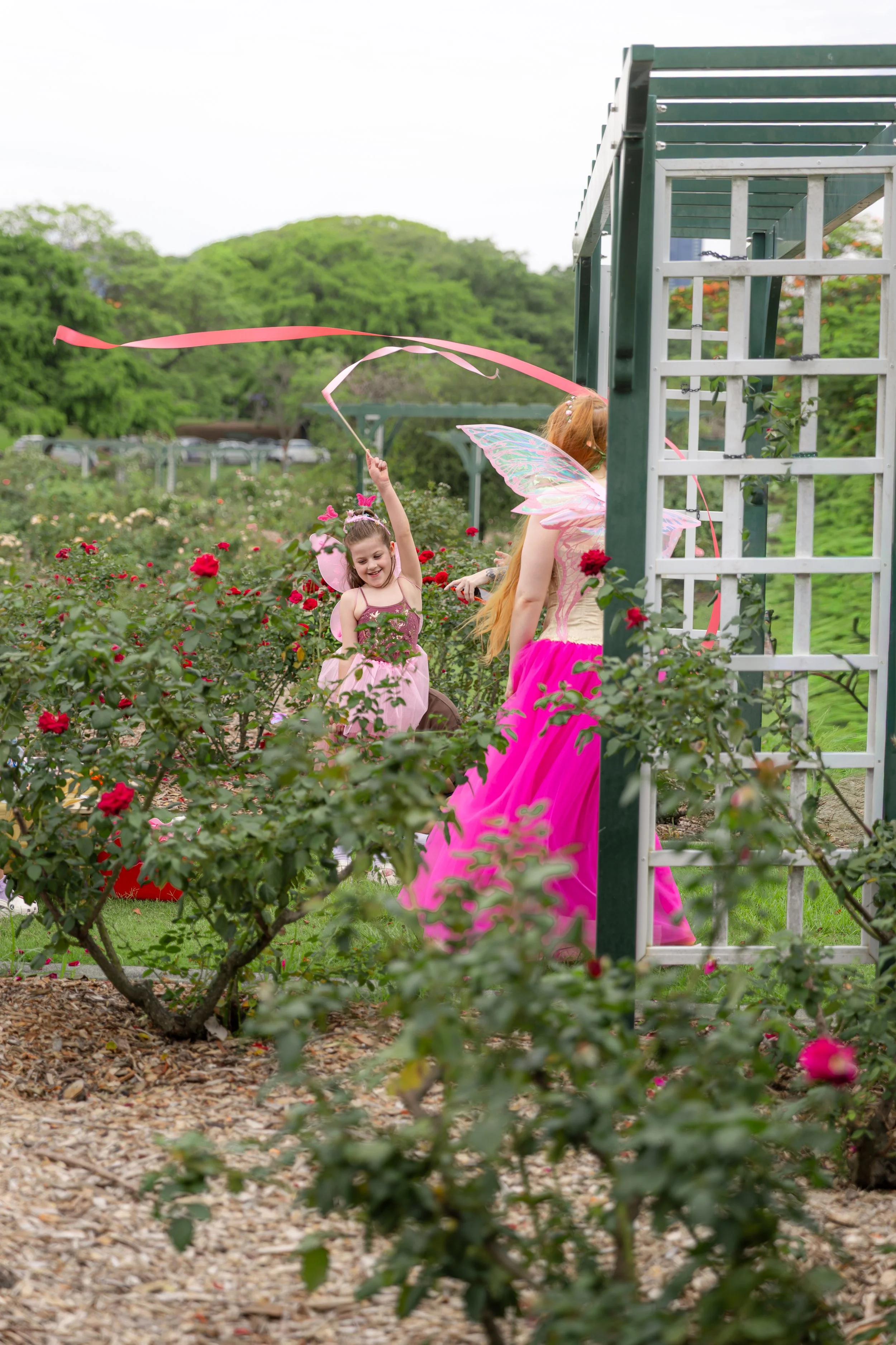 Children dressed as fairies with pink wings playing in a rose garden, one girl waving a ribbon.