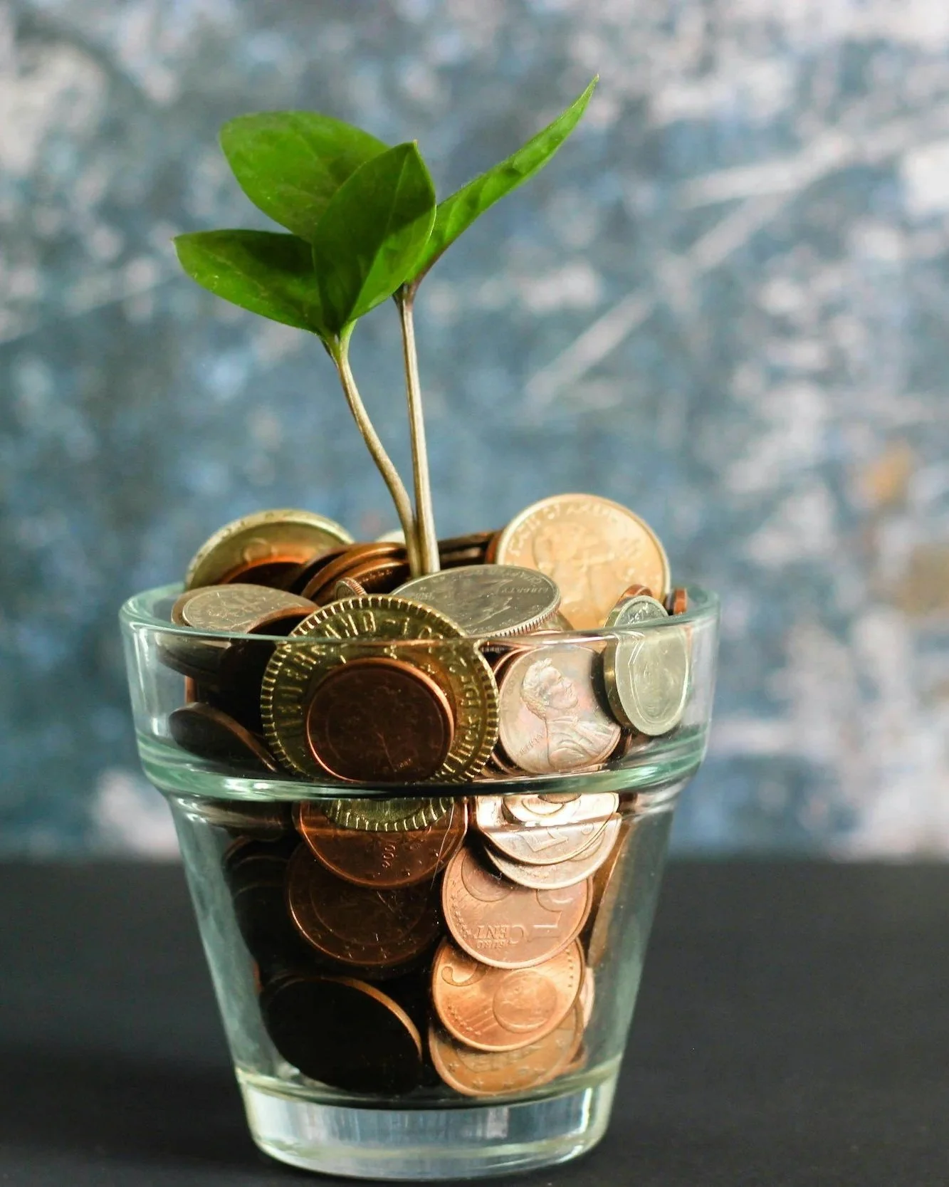 A glass filled with assorted U.S. coins with a small green plant sprouting from the coins.