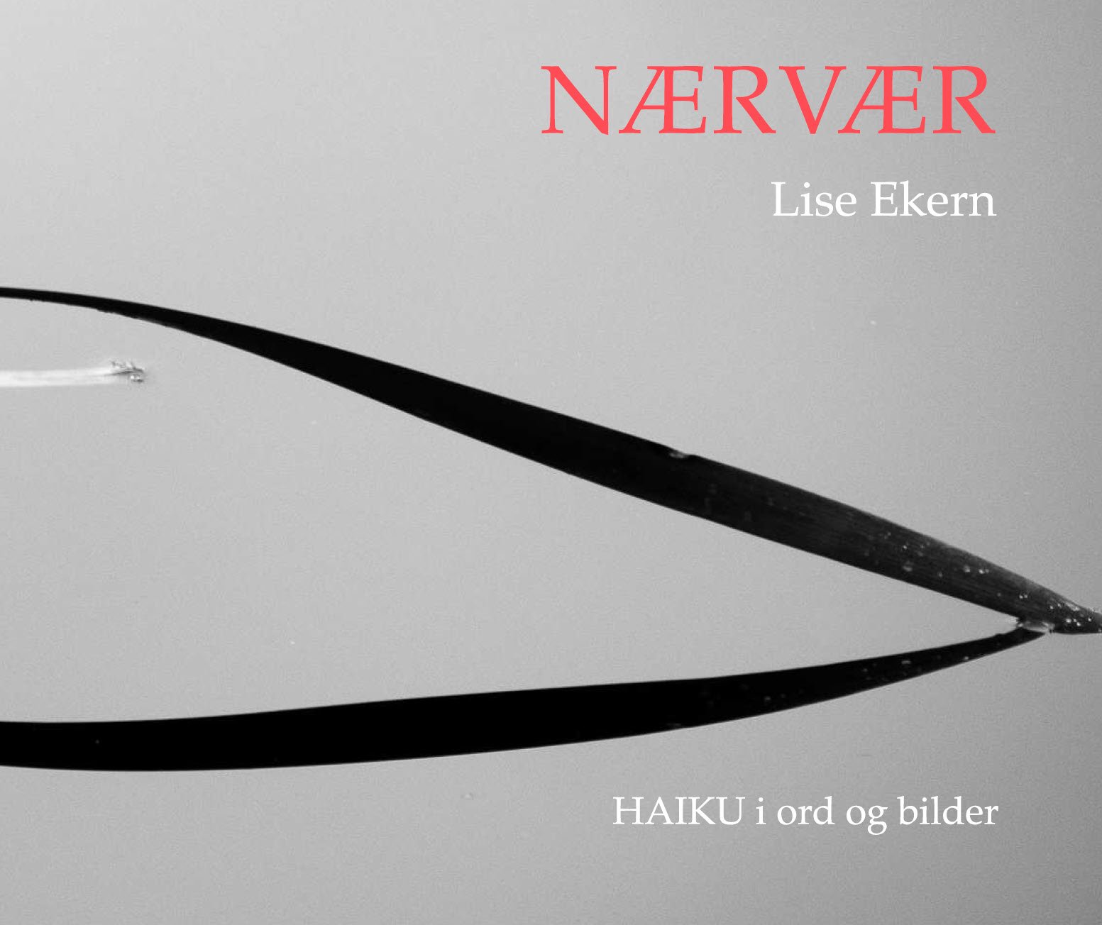 Lise eekern naerver haiku.jpg