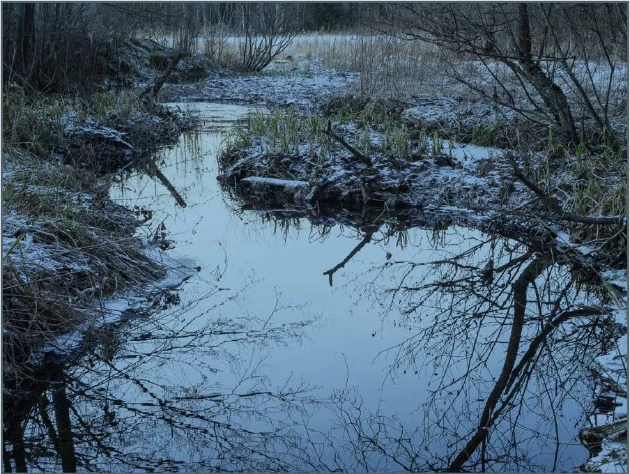 oyeblikk ved bekk -2.jpg