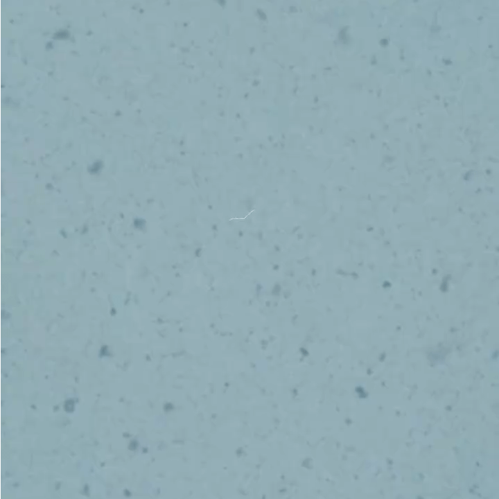 simond_1764090000_3773783036559898071_3417343940.gif