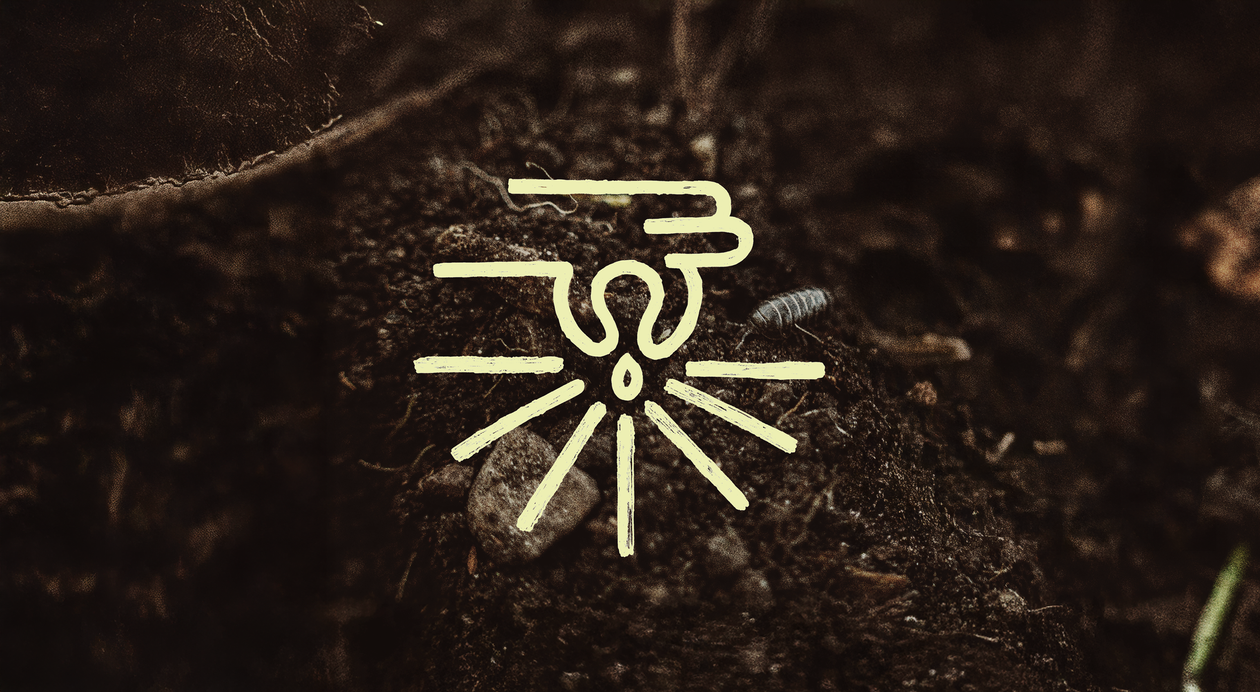 Sow to Rise
