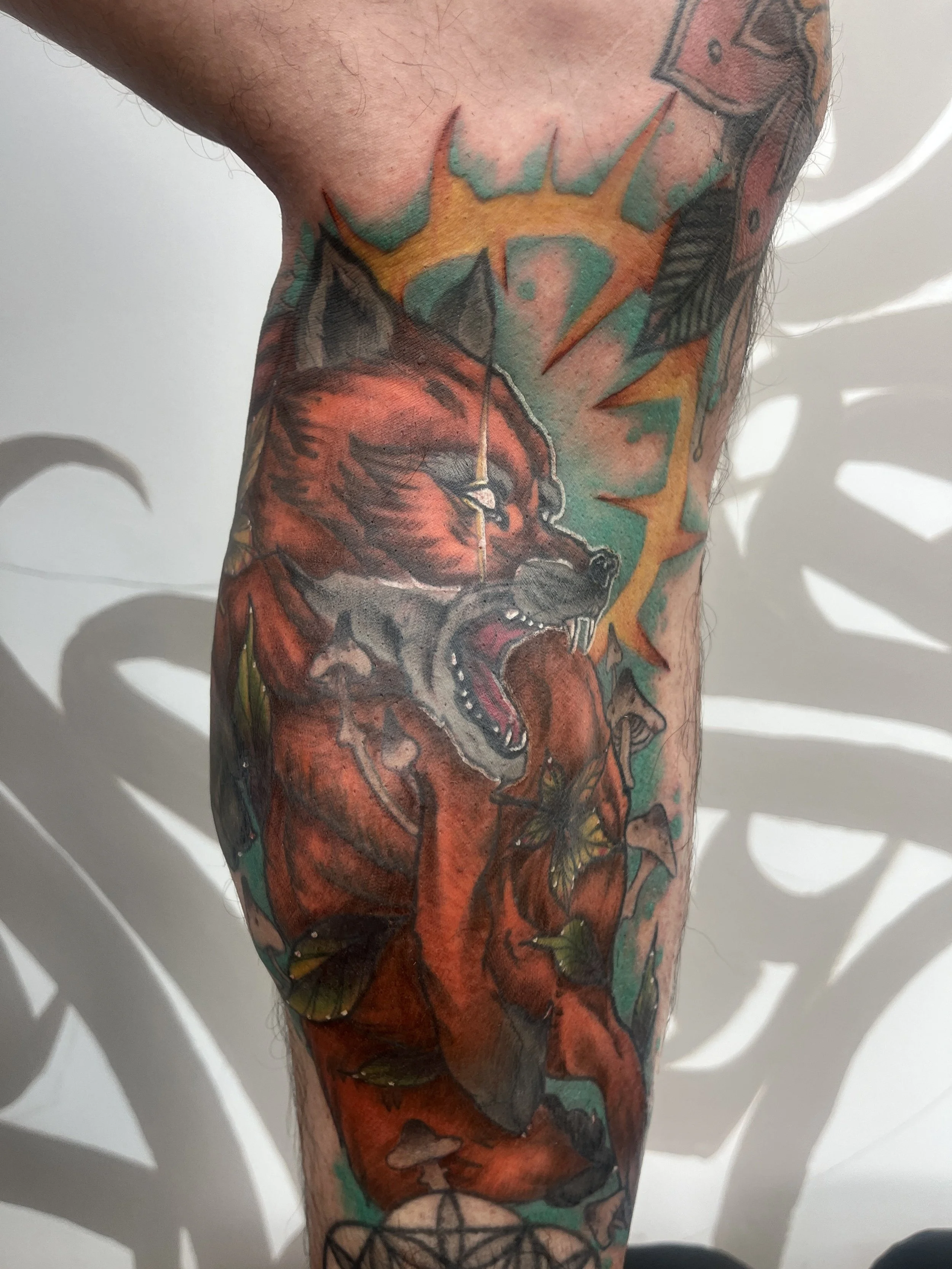 Tatouage néotraditionnel coloré représentant un renard rugissant sur la jambe.