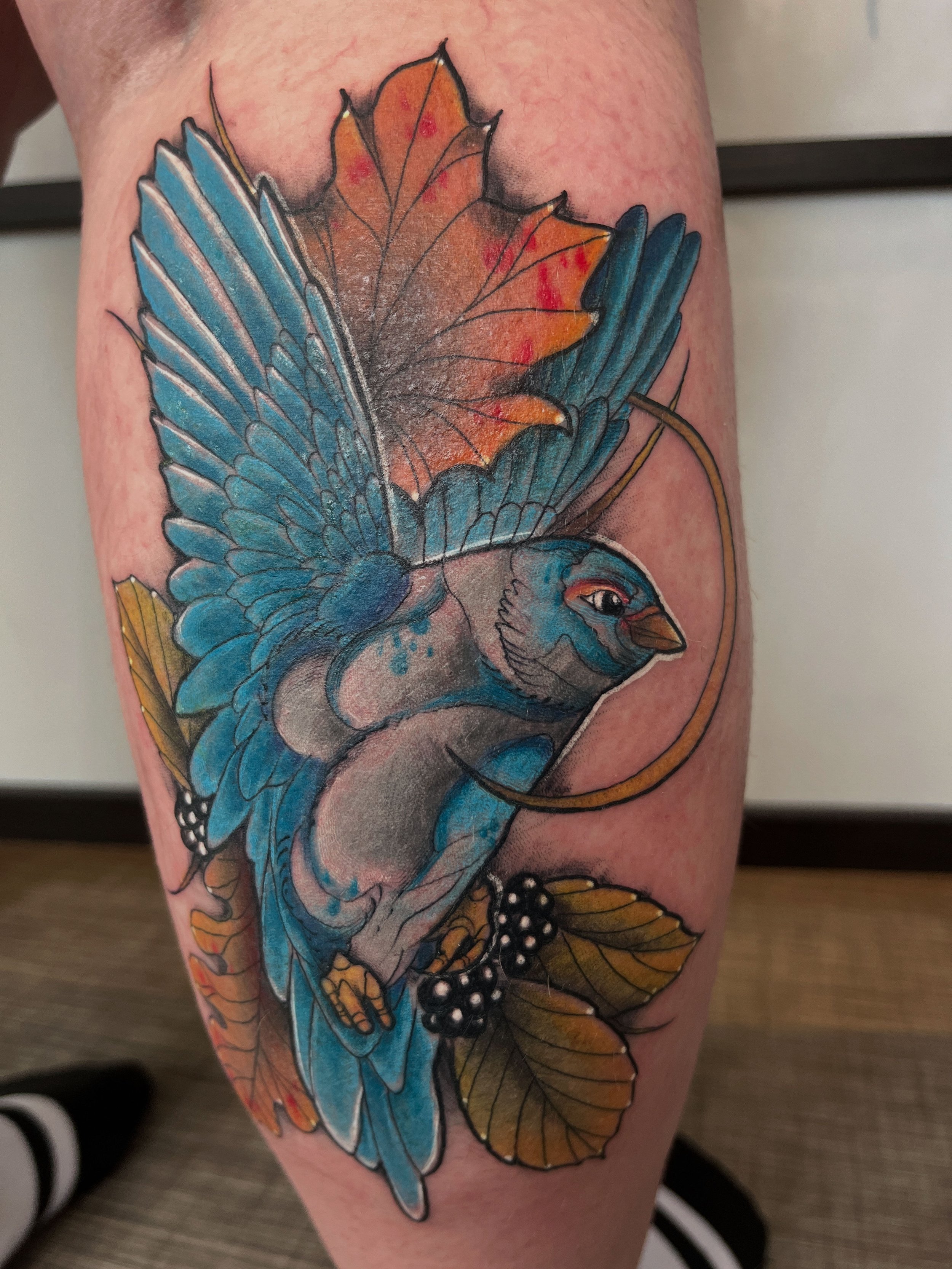 Tatouage néotraditionnel coloré représentant un oiseau bleu en vol sur la jambe.
