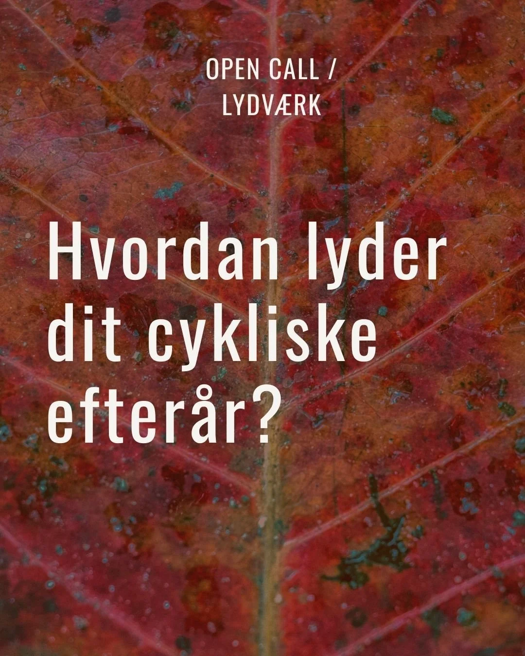 OPEN CALL / LYDVÆRK