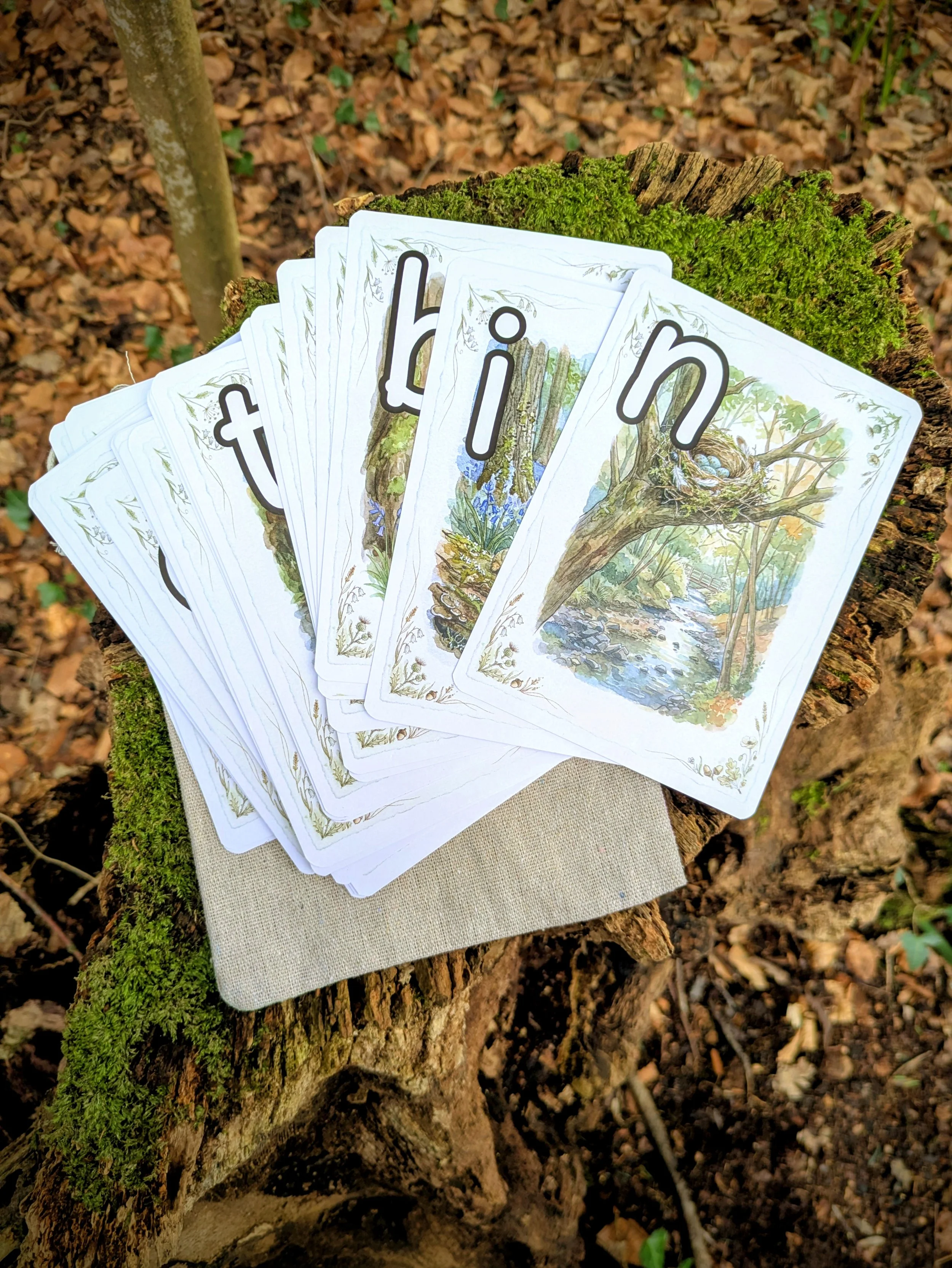 Wild Bristol Reading and Regulation Cards: Set 1 Phonics