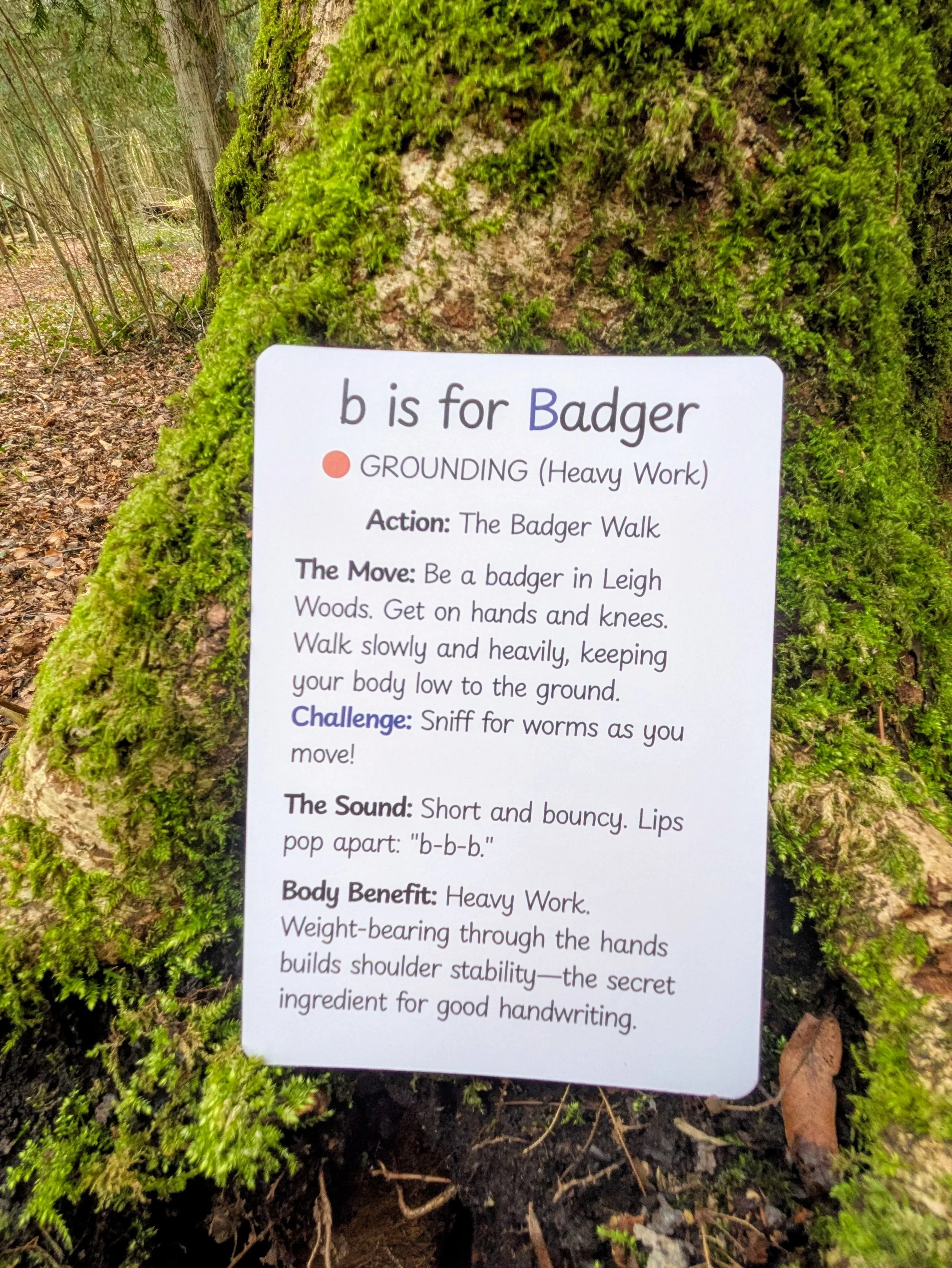 badger (1).jpg
