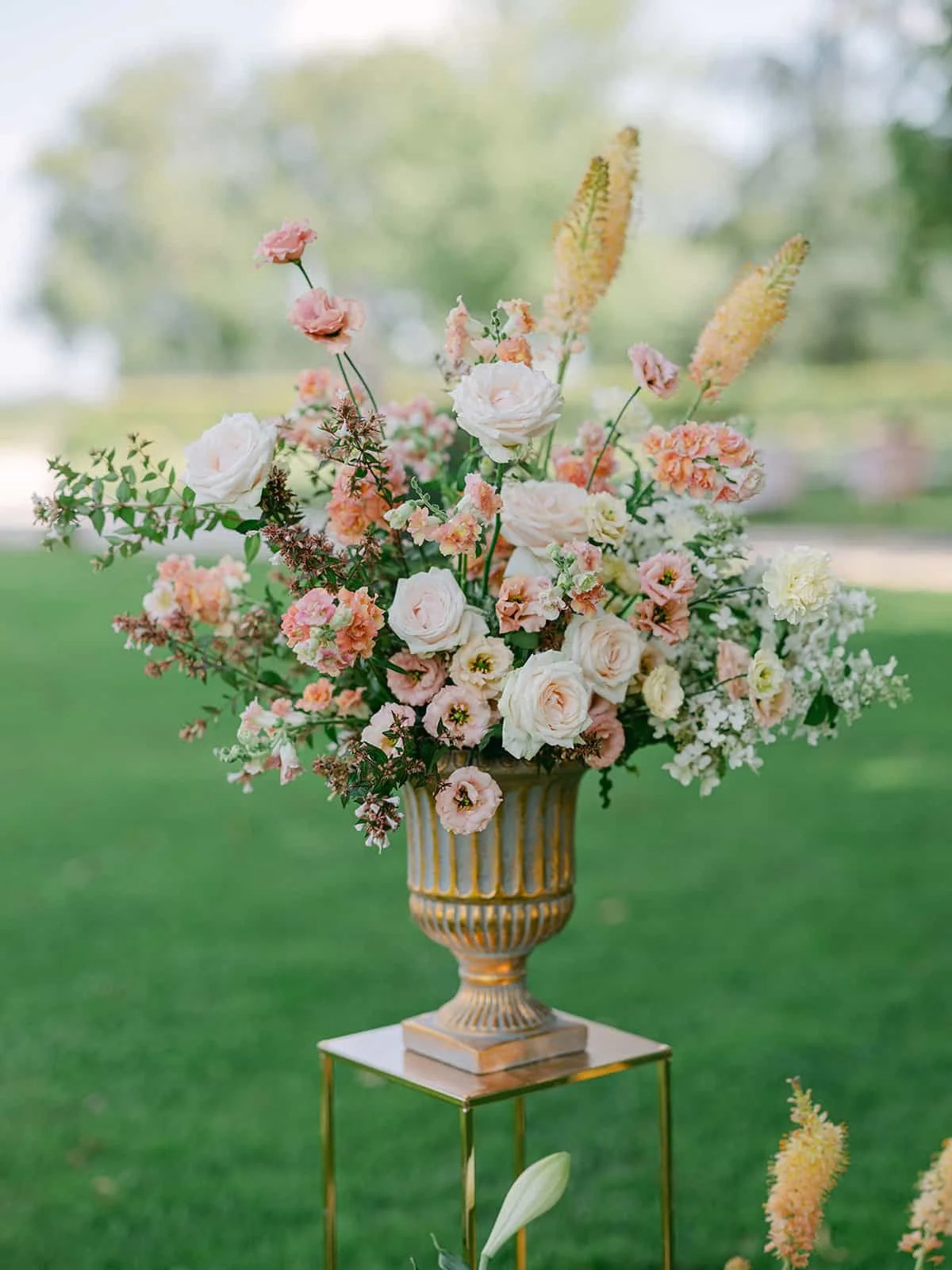 019  victoria-ryan-highlights.jpg