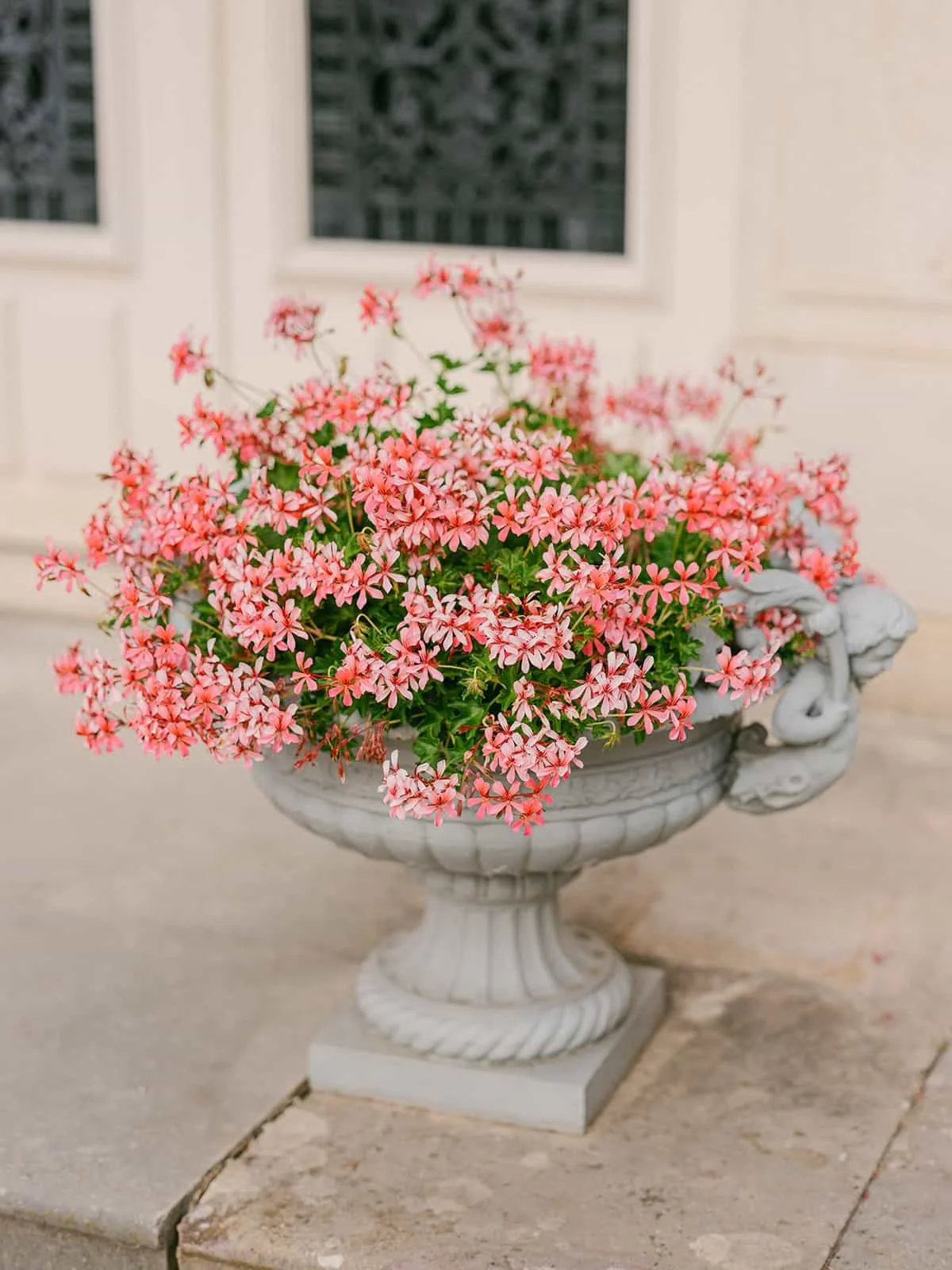 000.2  victoria-ryan-highlights.jpg