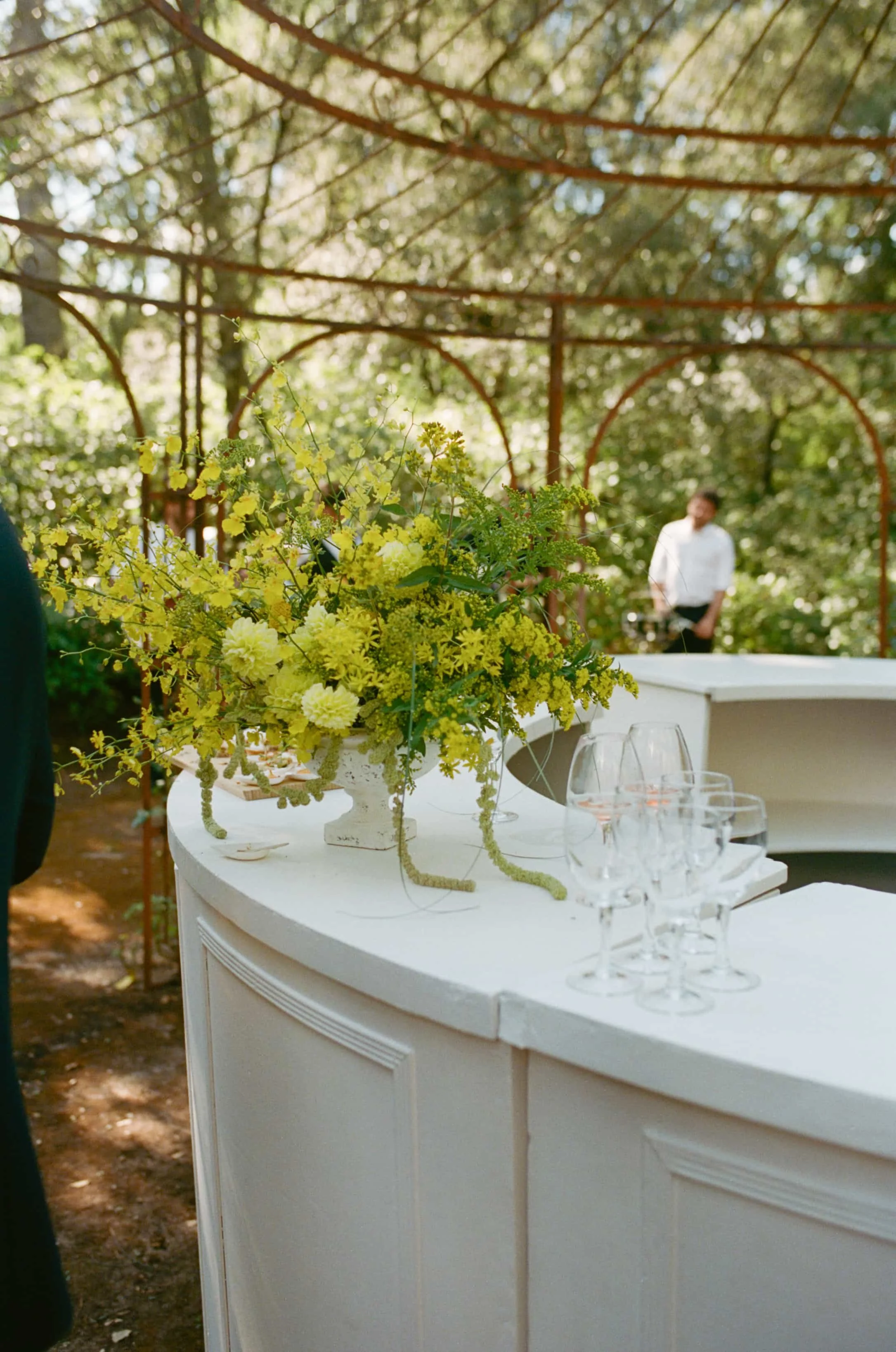 1 nadine jordan film-549.jpg