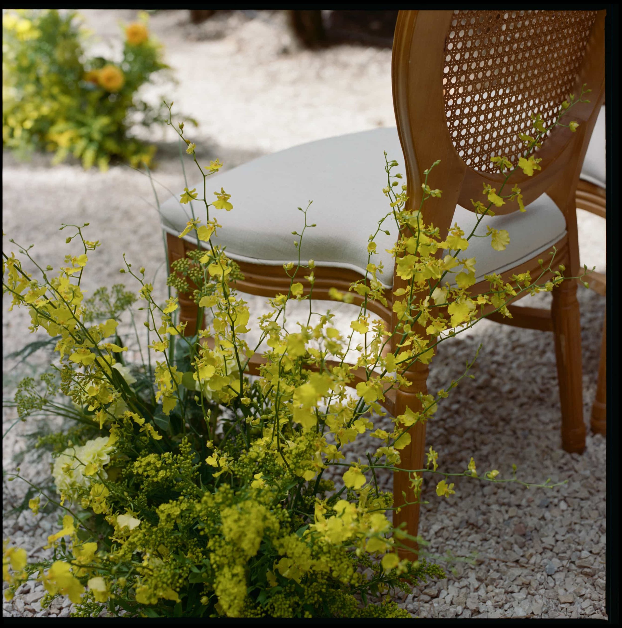 1 nadine jordan film-286.jpg