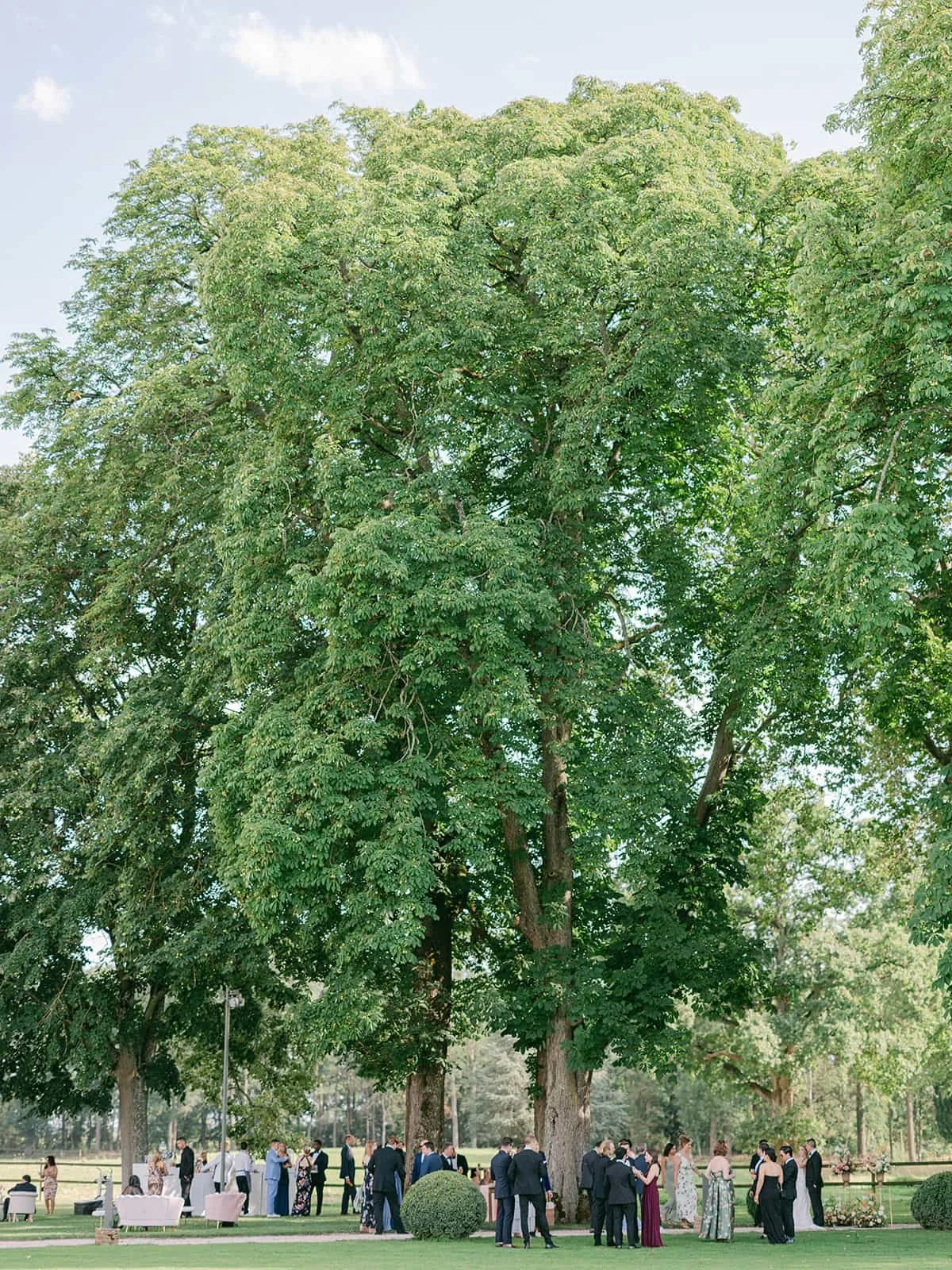 032  victoria-ryan-highlights.jpg