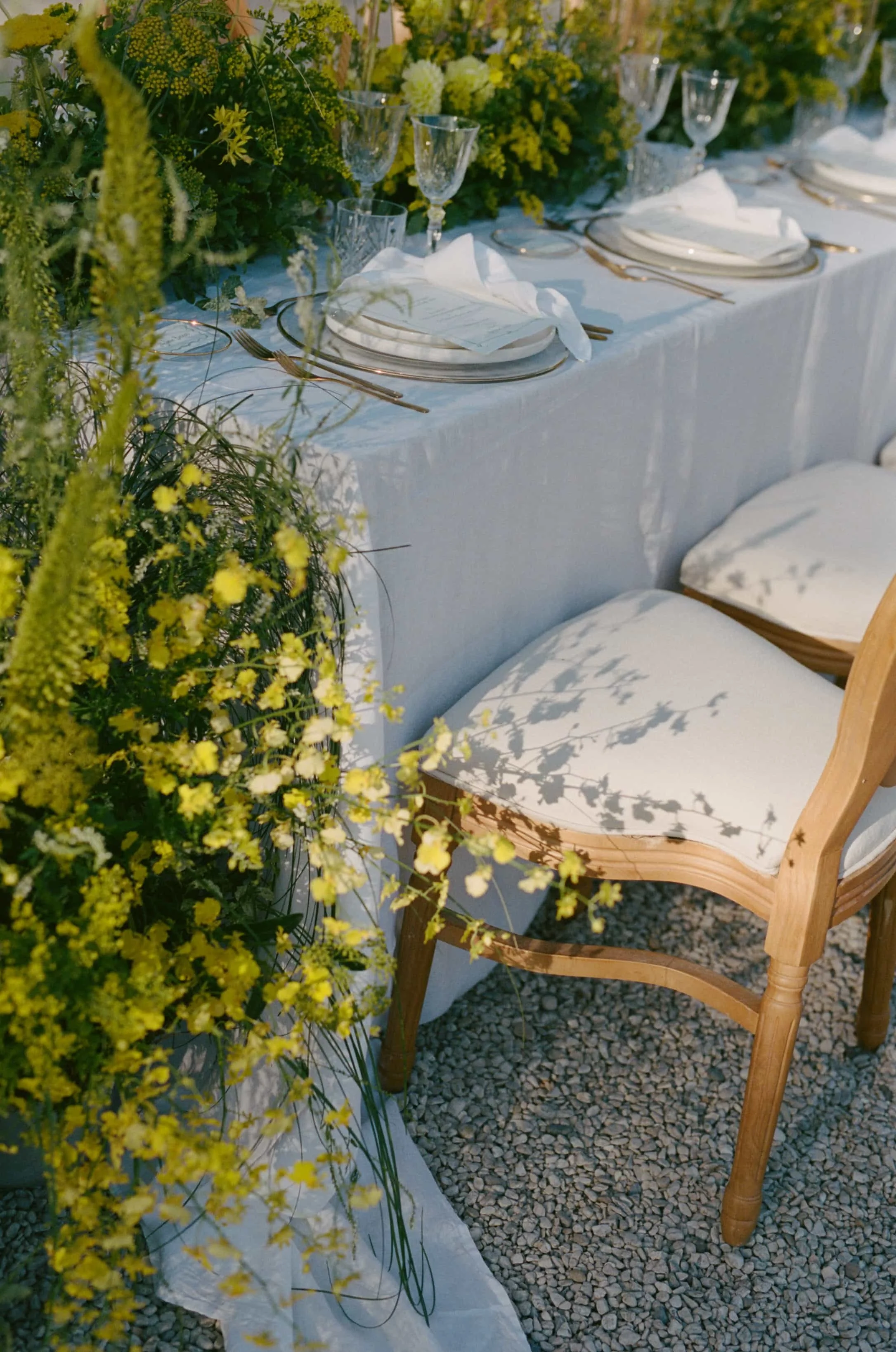 1 nadine jordan film-658.jpg