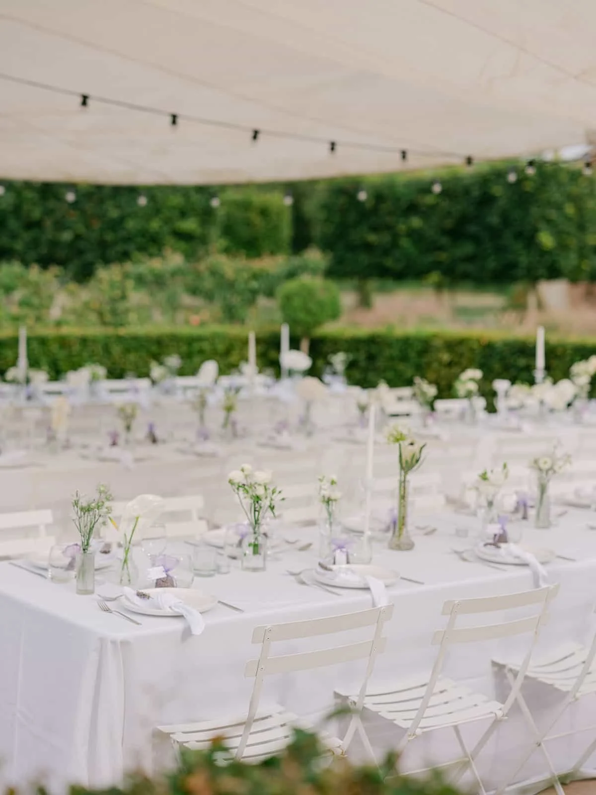 000.8  victoria-ryan-highlights.jpg