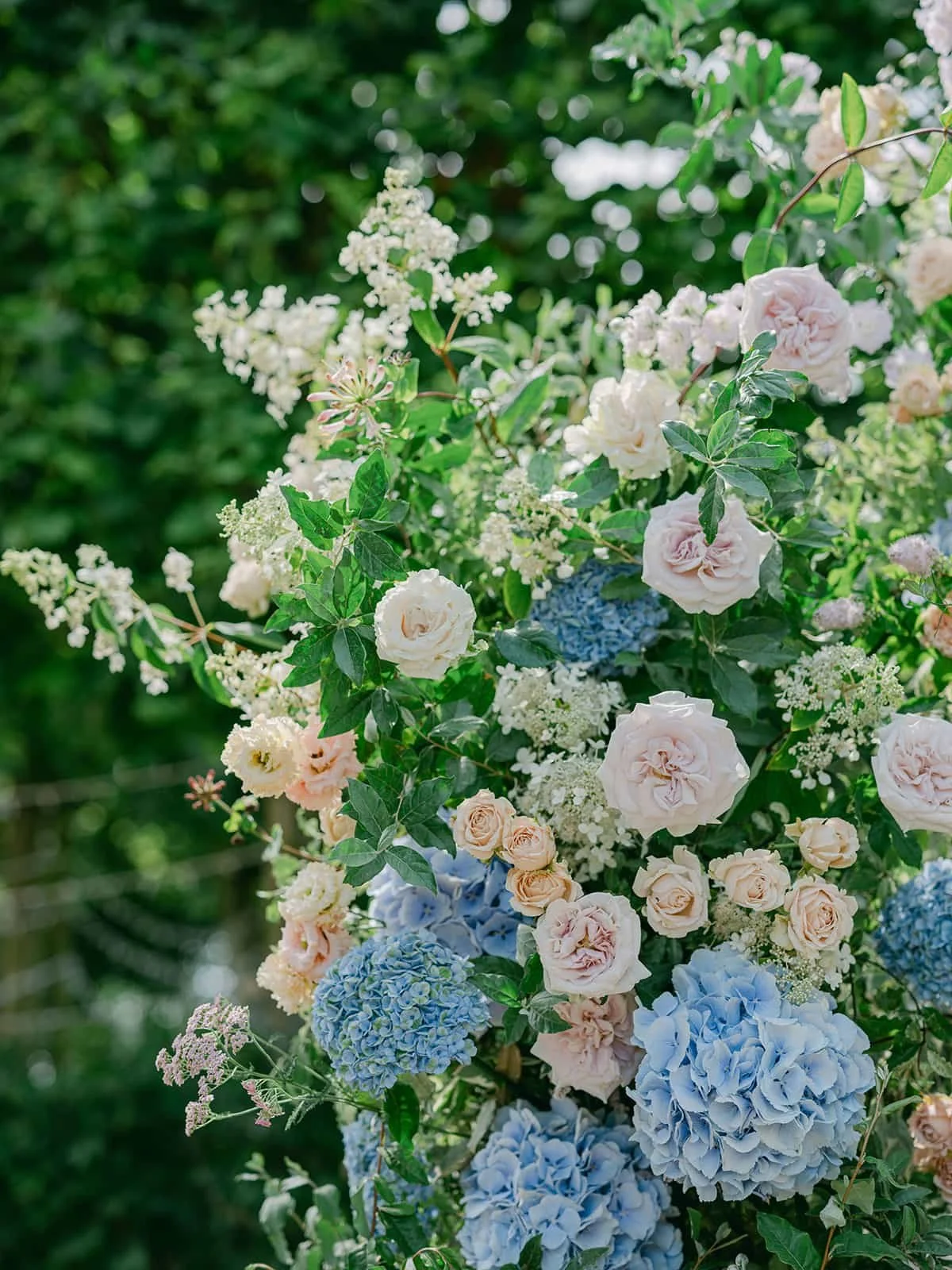 rachel-jeff-highlights (62).jpg