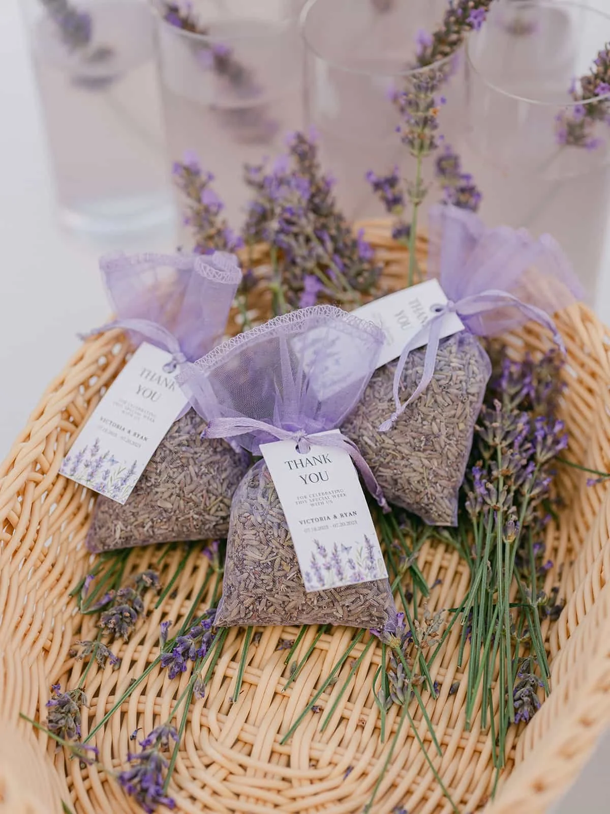 000.12  victoria-ryan-highlights.jpg