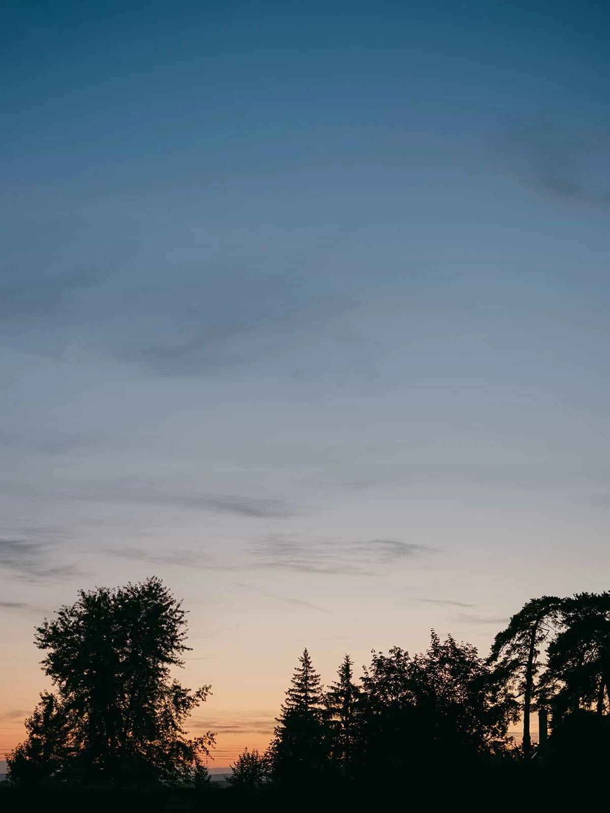 rachel-jeff-highlights (23).jpg