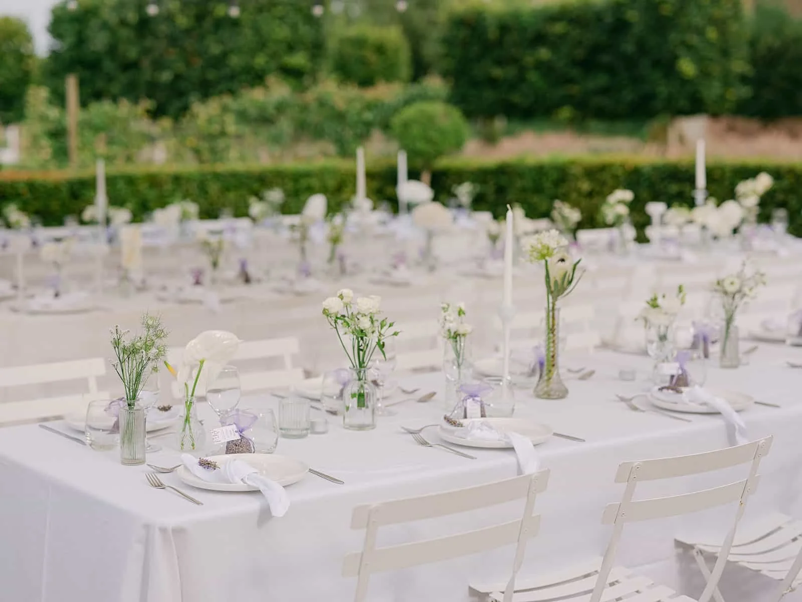 000.7  victoria-ryan-highlights.jpg