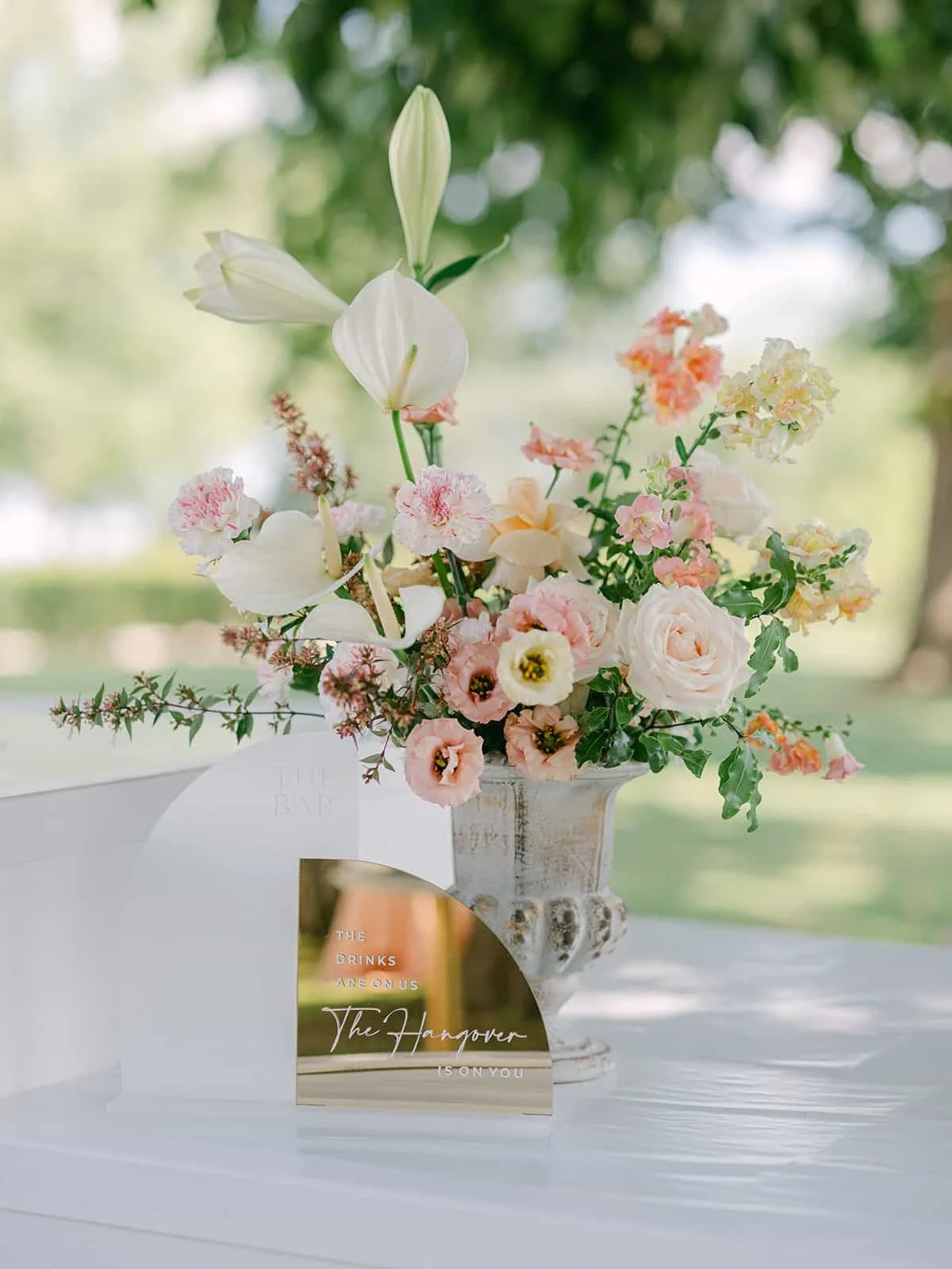 024  victoria-ryan-highlights.jpg