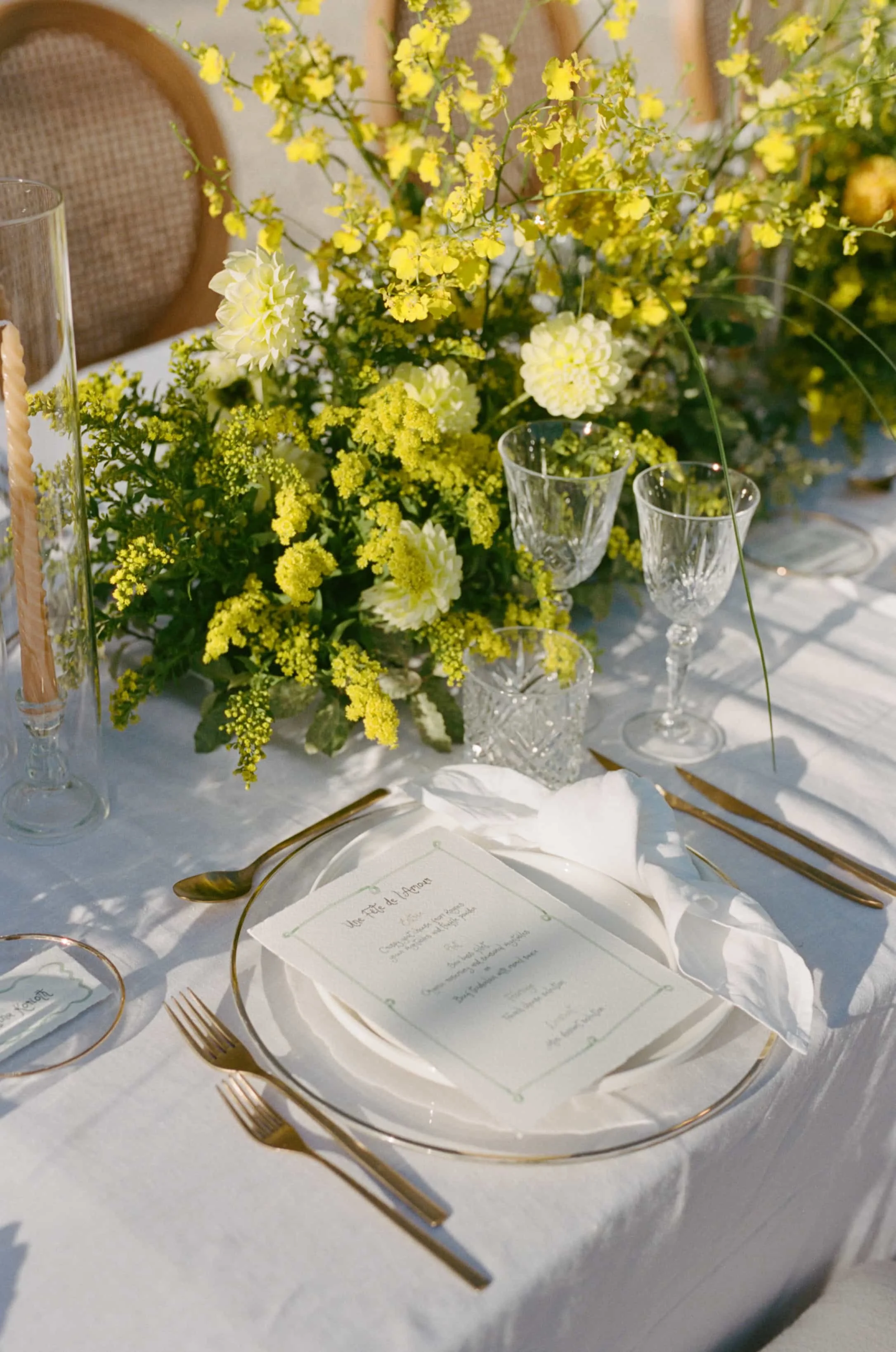 1 nadine jordan film-645.jpg