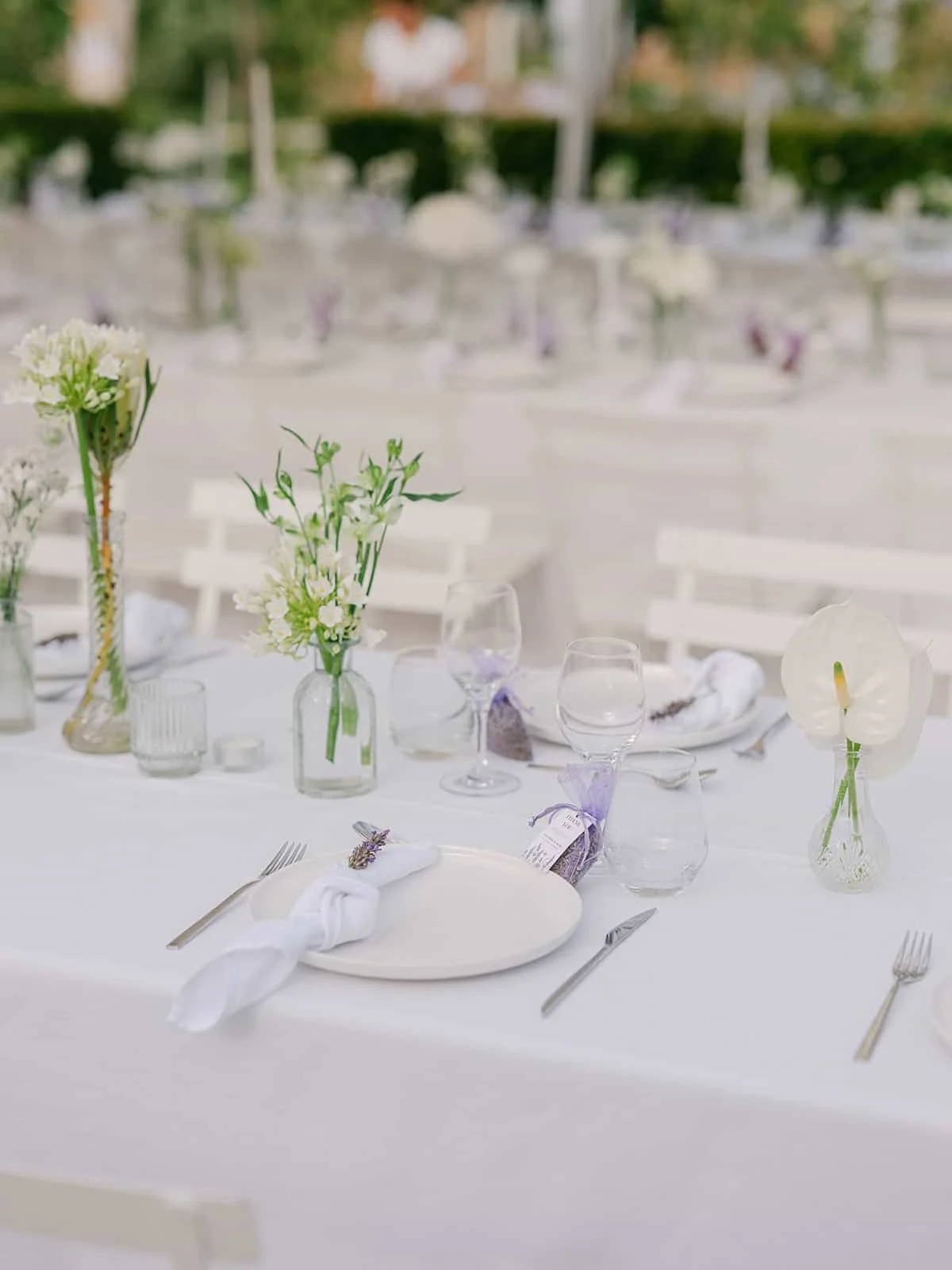 000.6  victoria-ryan-highlights.jpg