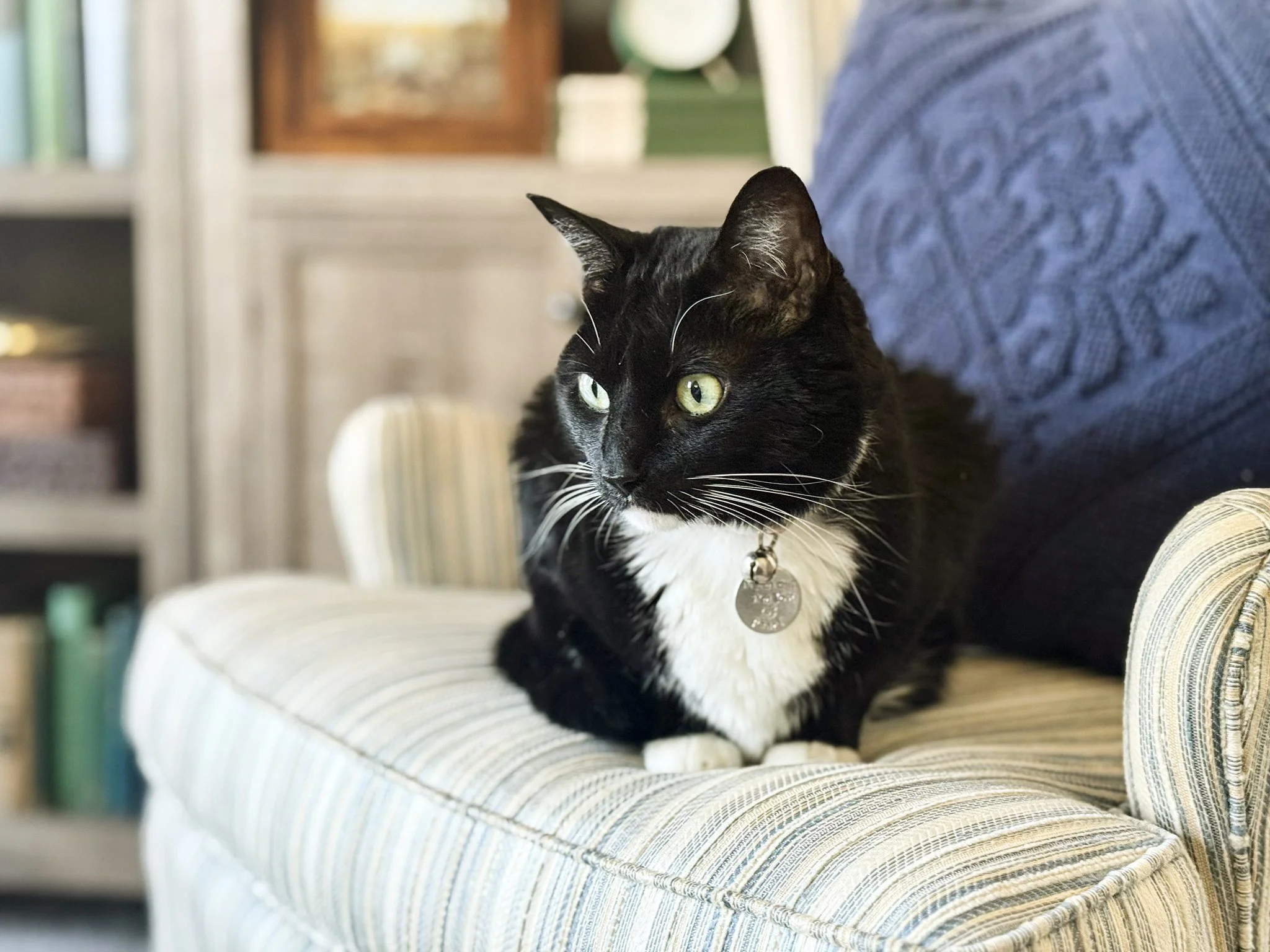 Group Support Session: Navigating Guilt &amp; Shame