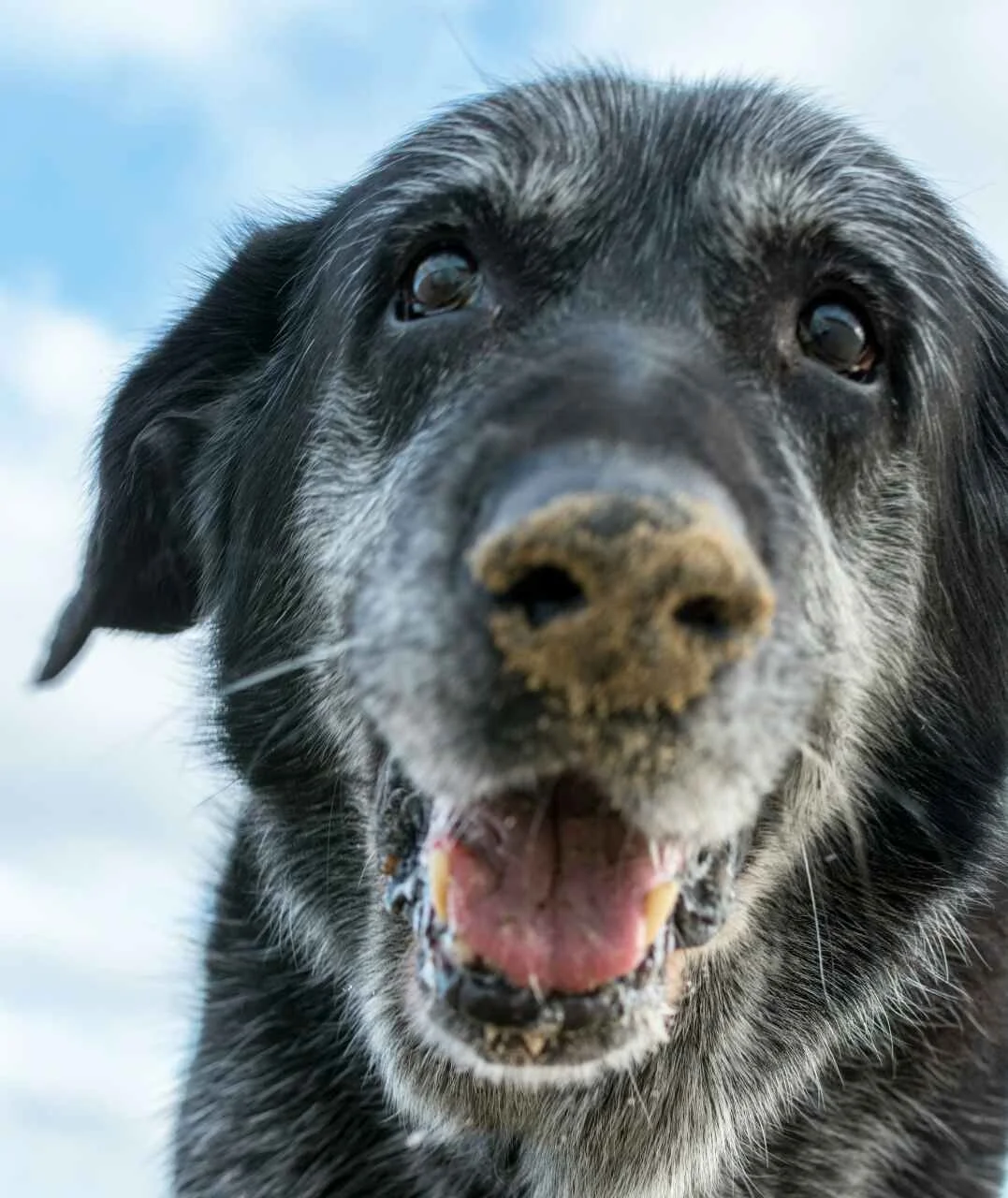 Donation Based Group Support Session