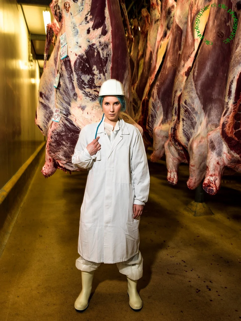 Abattoirs, Angers les Lions