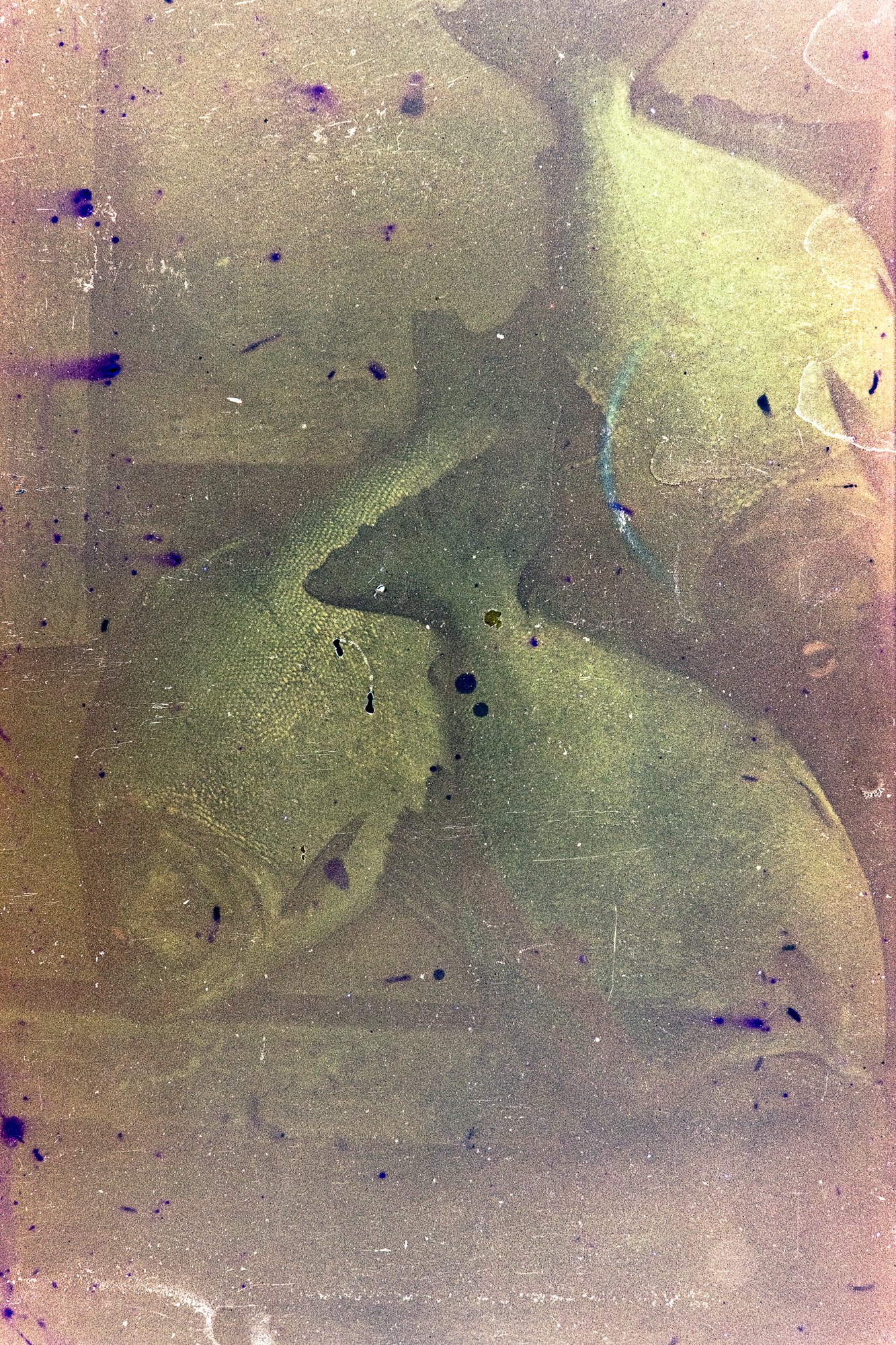 Where the Border Runs #1