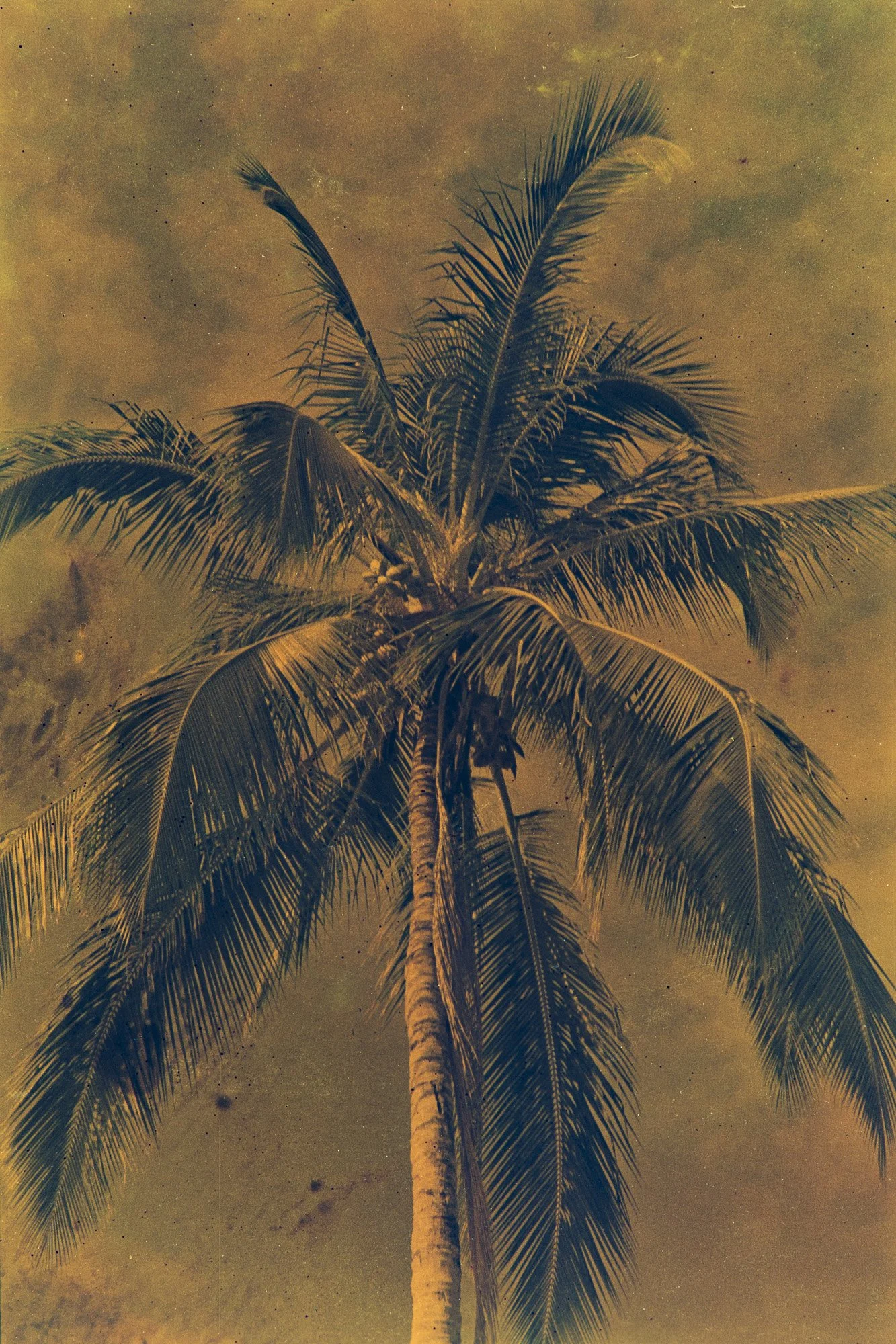 Where the Border Runs #2