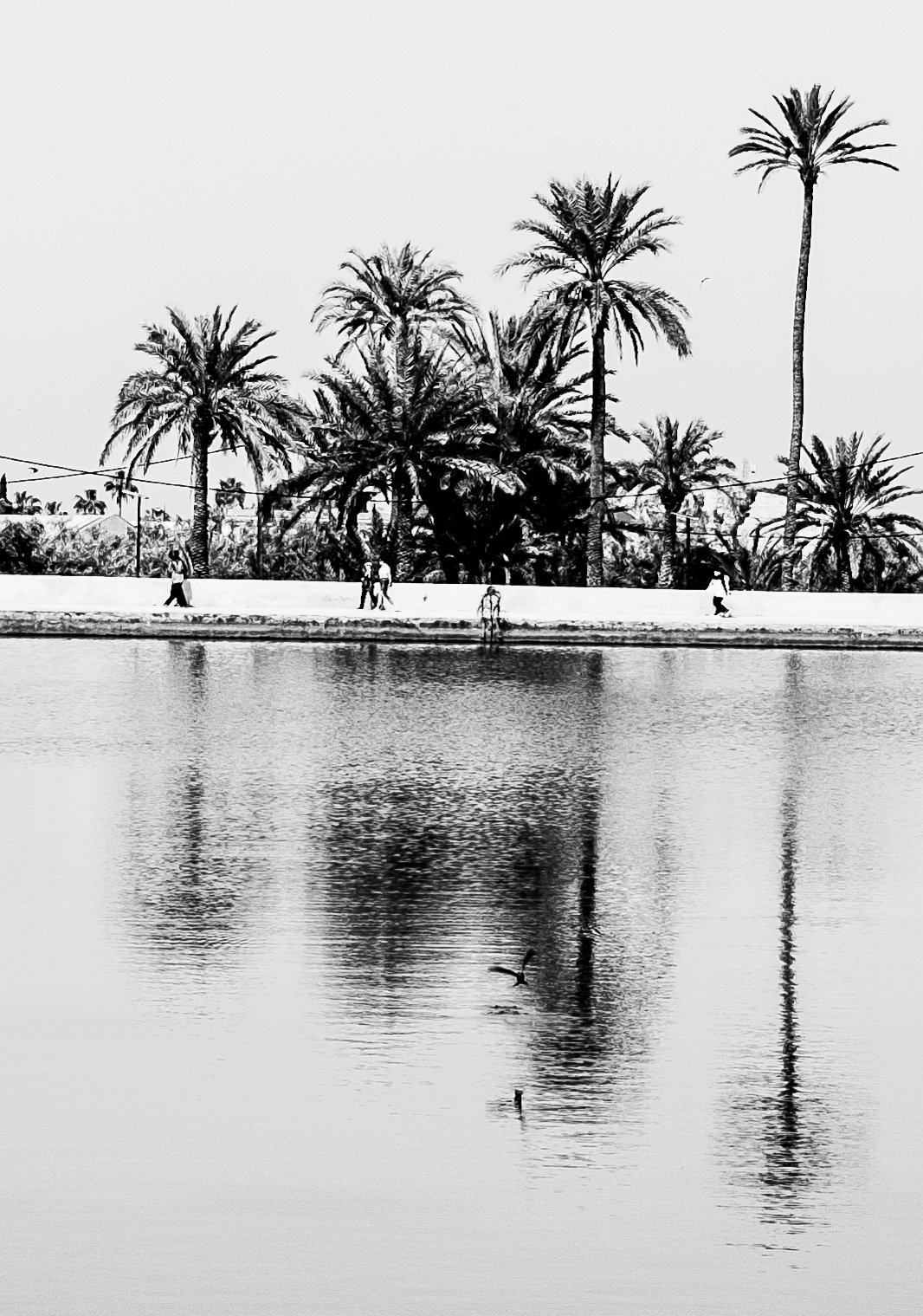 DSCF3825.jpg