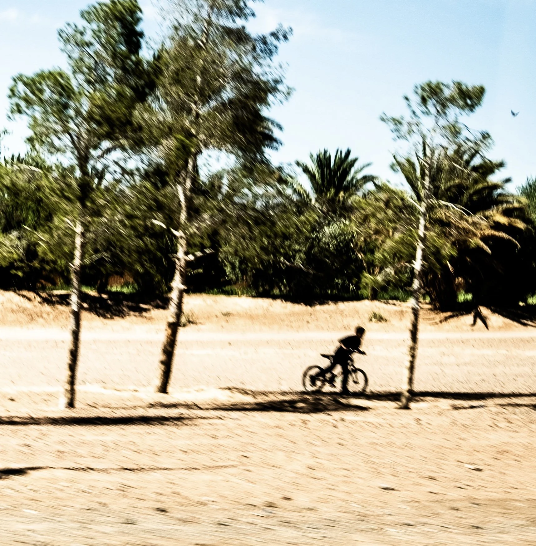 DSCF4090.jpg