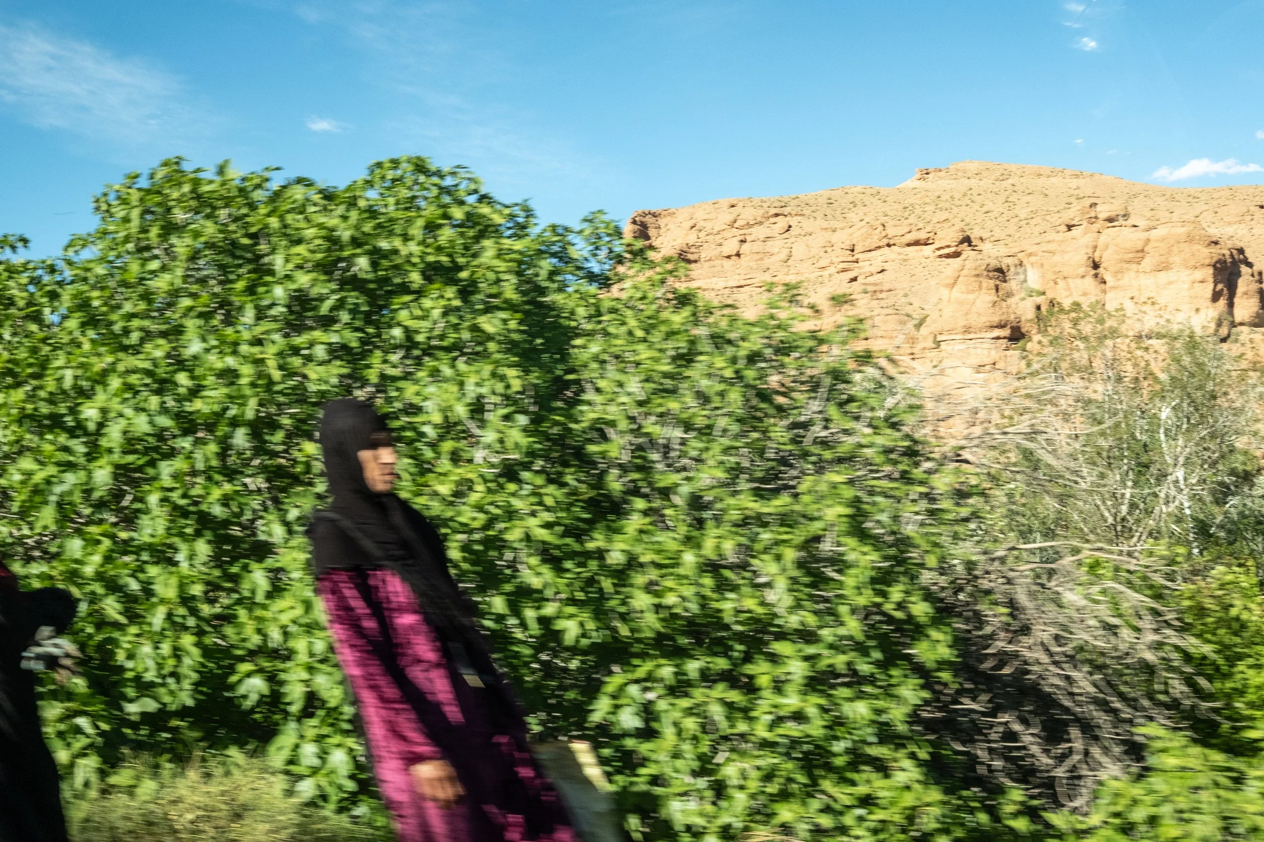 DSCF4106.jpg