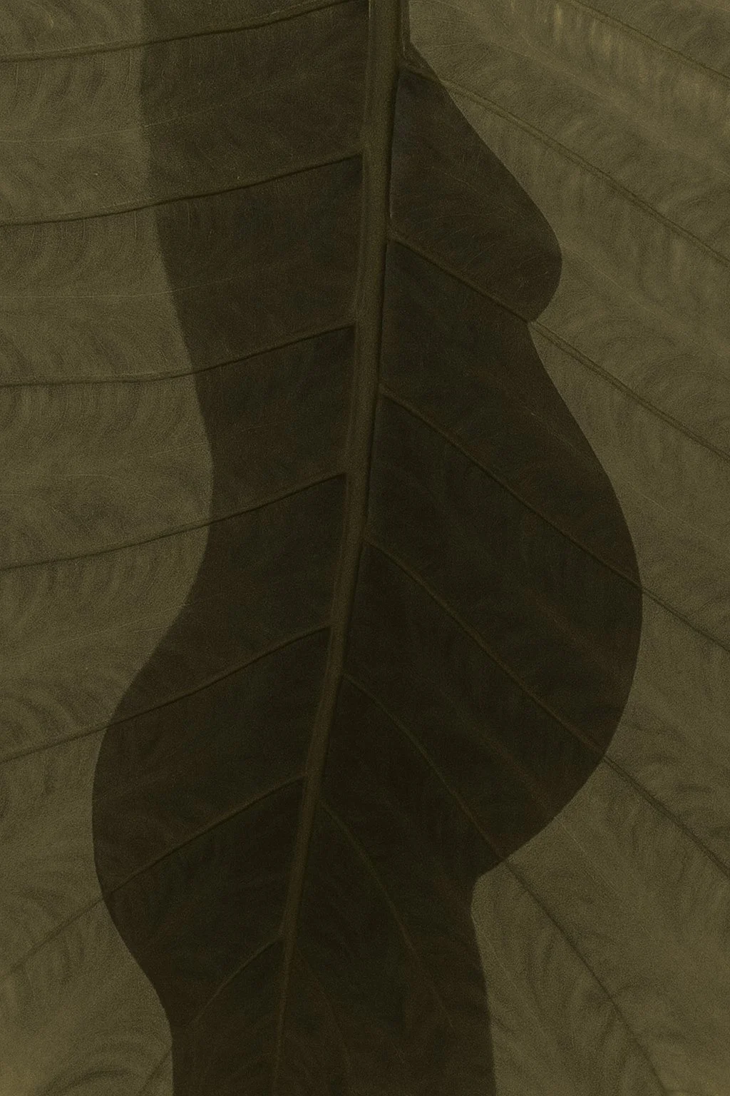 Psychotherapie in der Schwangerschaft – Warum seelische Begleitung für werdende Mütter so wichtig ist