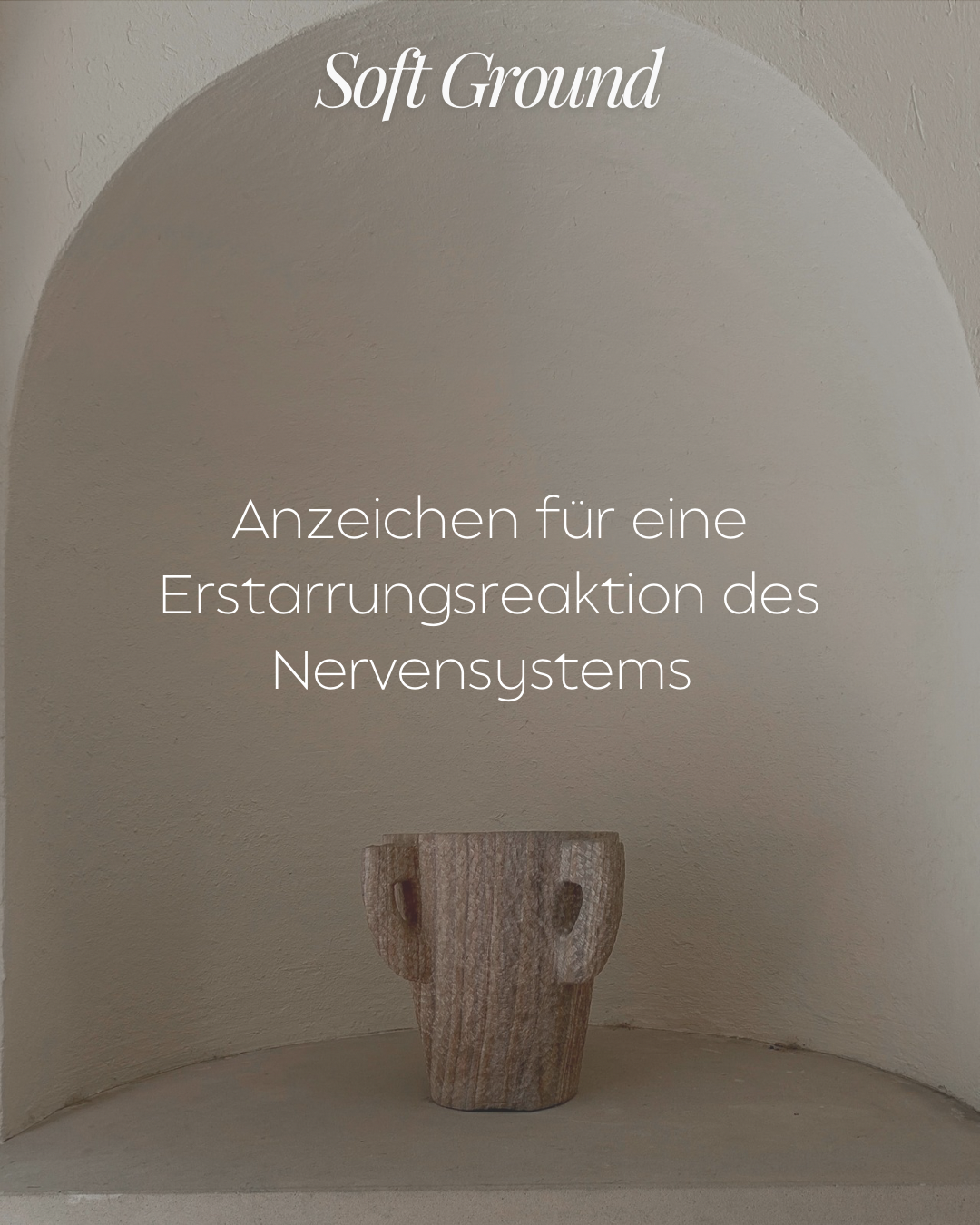Text auf einem Bild in einer Nische: "Soft Ground" und "Anzeichnen für eine Erstarrungsreaktion des Nervensystems". Im Hintergrund eine Vase