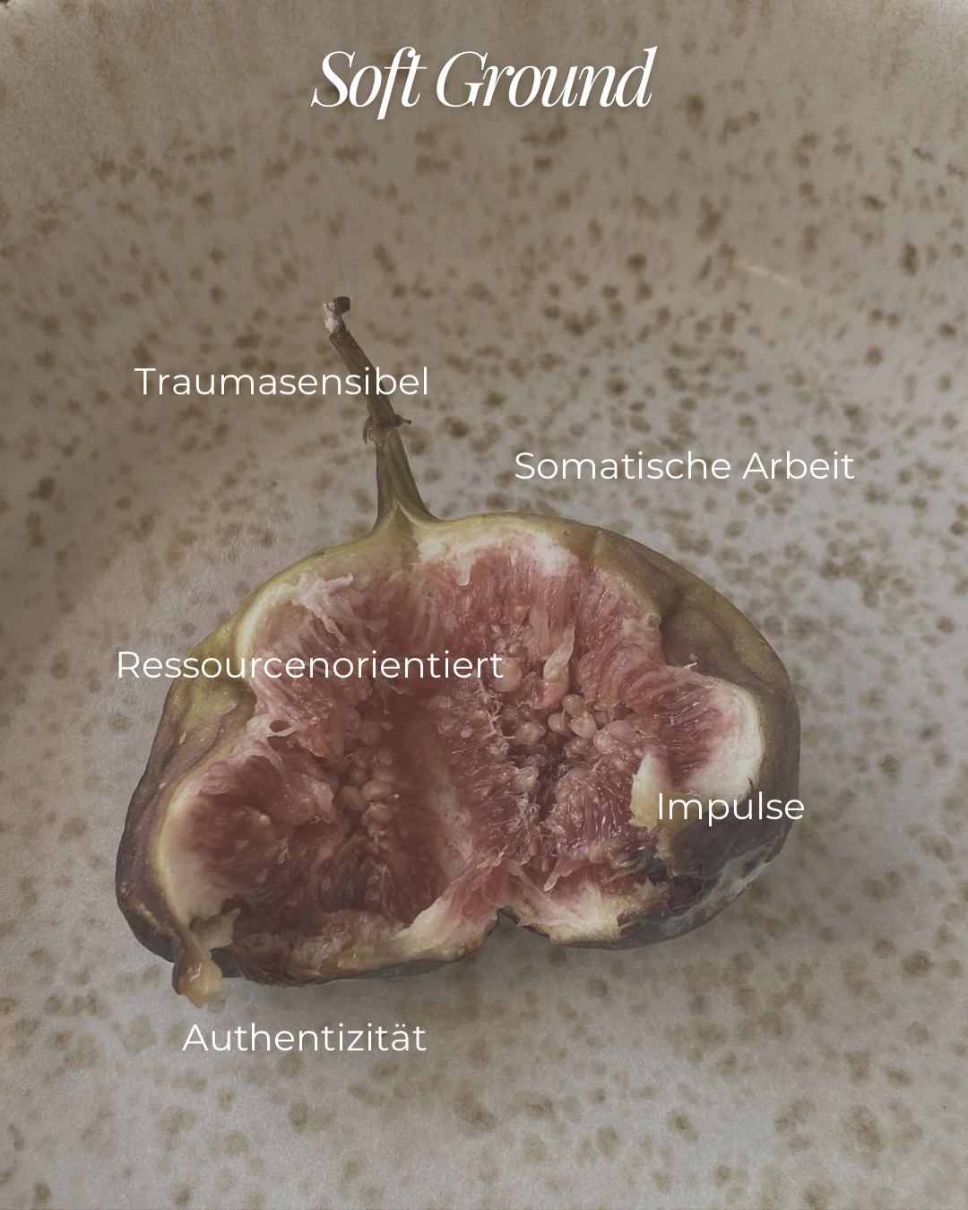 Eine halbierte Feige mit deutschen Beschriftungen: Traumasensibel, Ressourcenorientiert, Authentizität, Somatische Arbeit, Impulse, Soft Ground