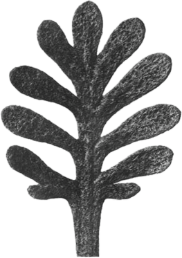 Abstraktes, schwarze Baum- oder Zweigmuster
