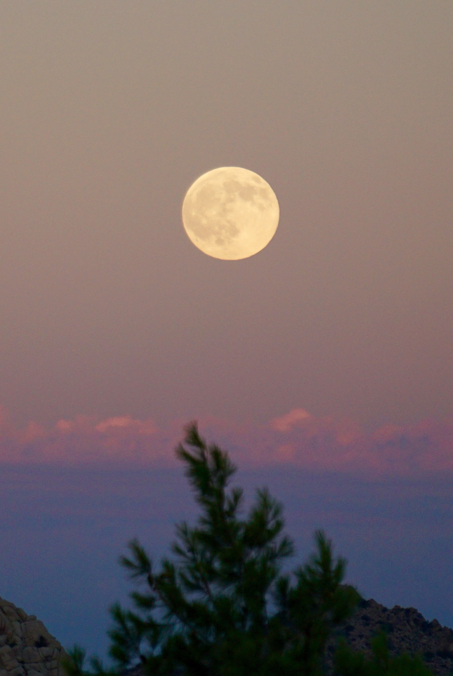 Birth Chart Reading UK | Personal Astrology Consultation
