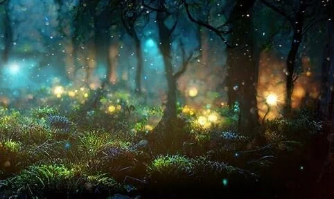 Midsummer Night’s Dream - 4 Week Course