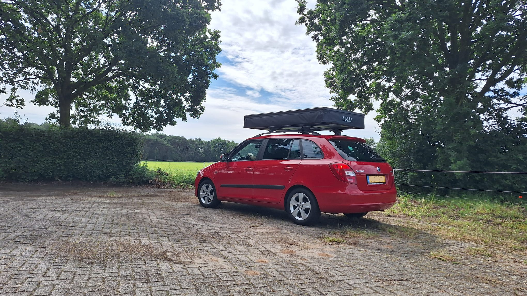 Skoda Fabia.png