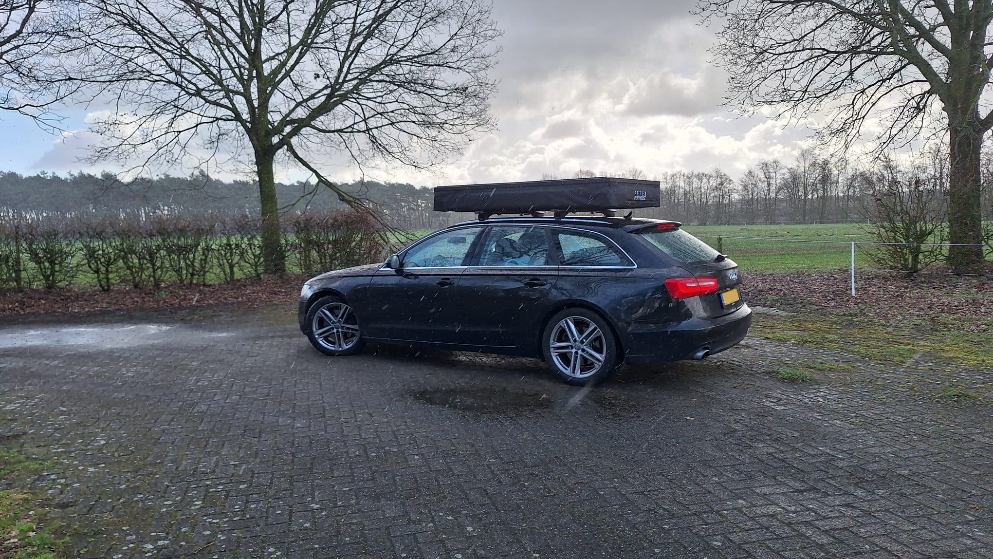 audi.png