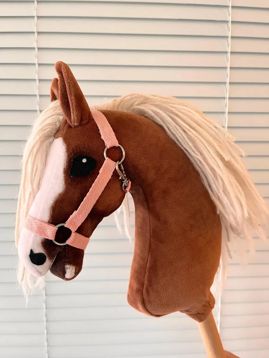 Hobby horse gift Set