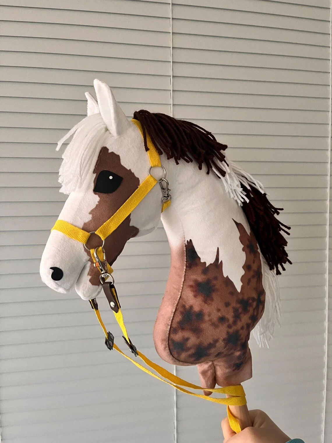 American Paint Horse